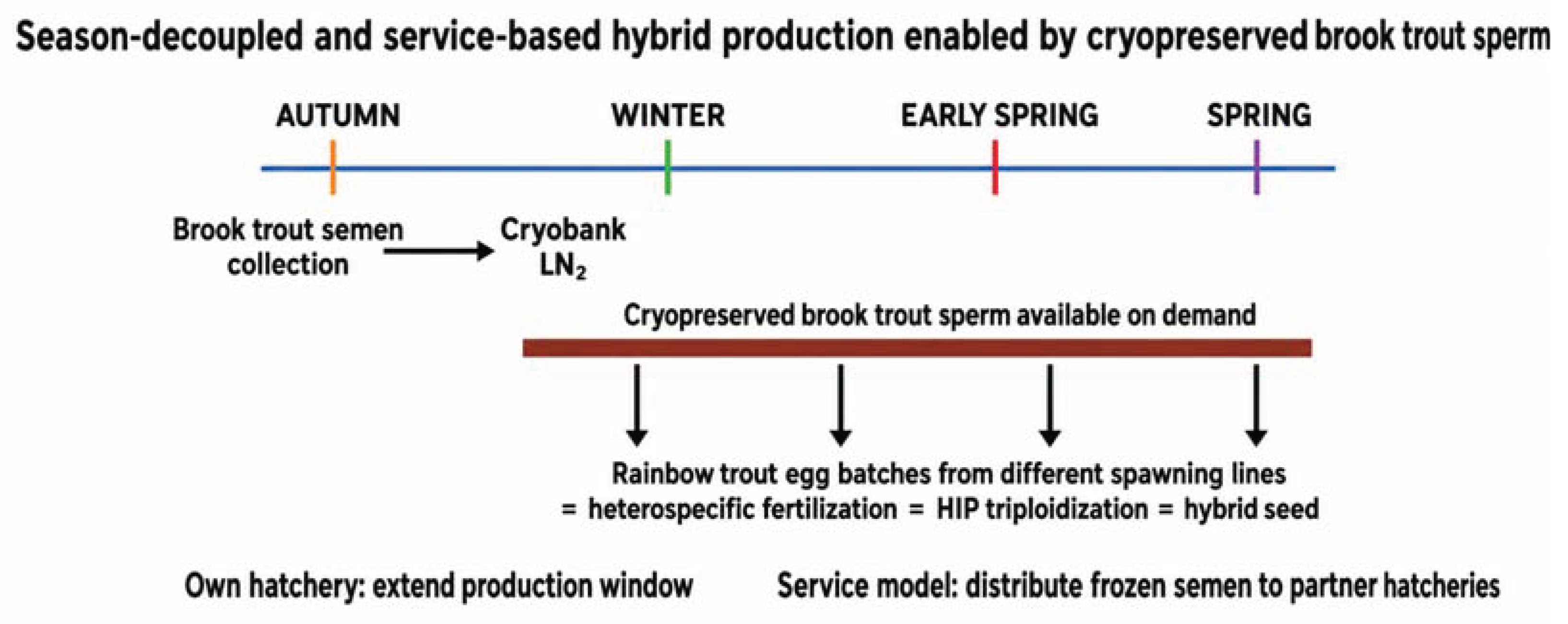 Preprints 235173 g001