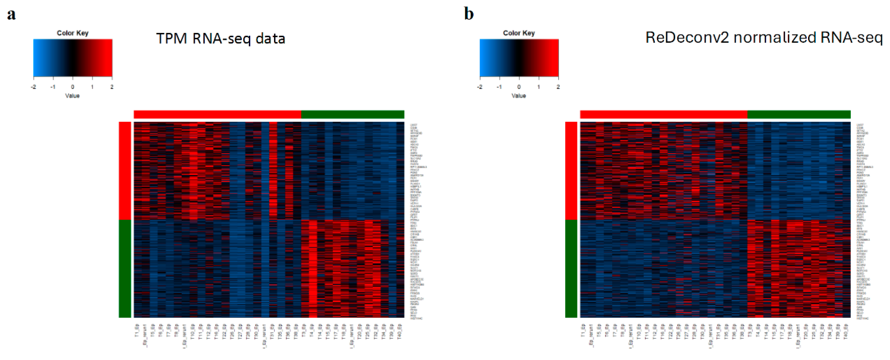 Preprints 155631 g004