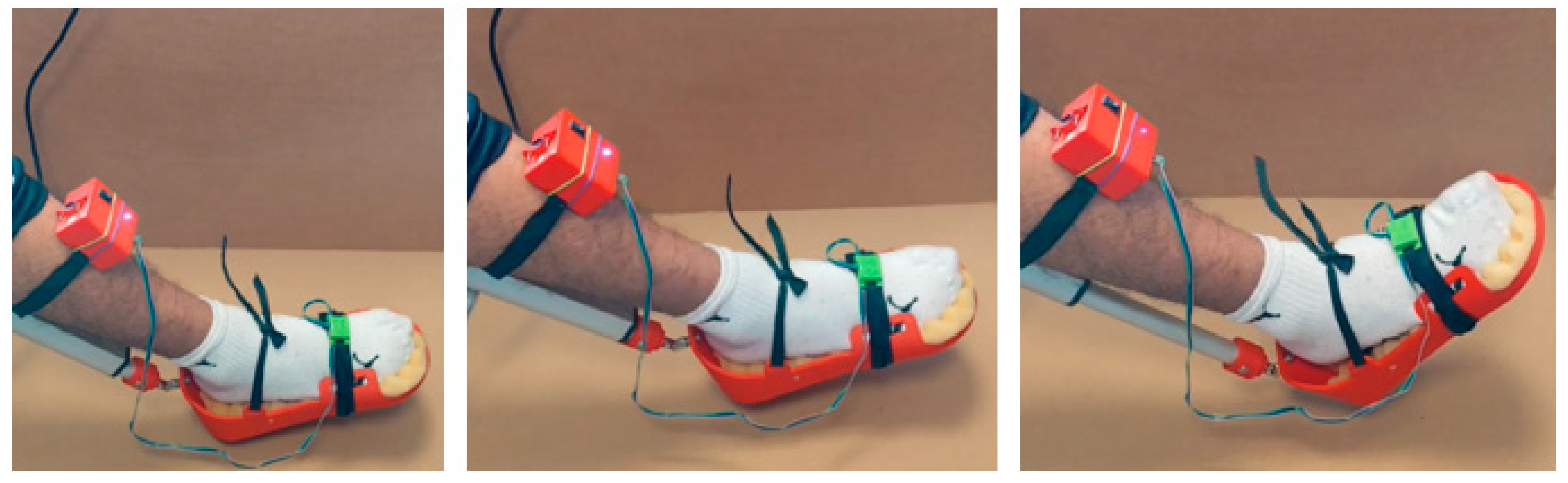 Preprints 119566 g015