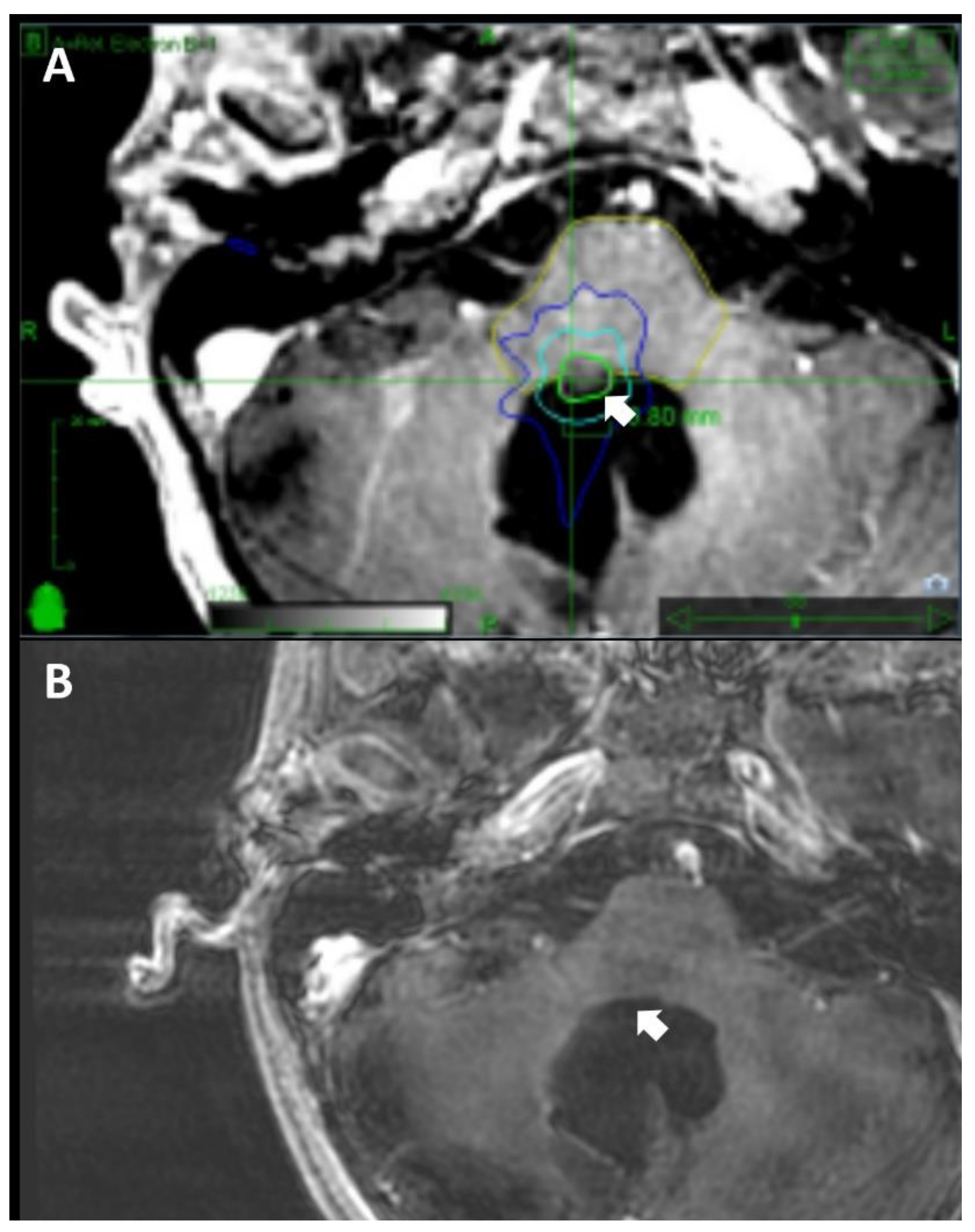 Preprints 105780 g002