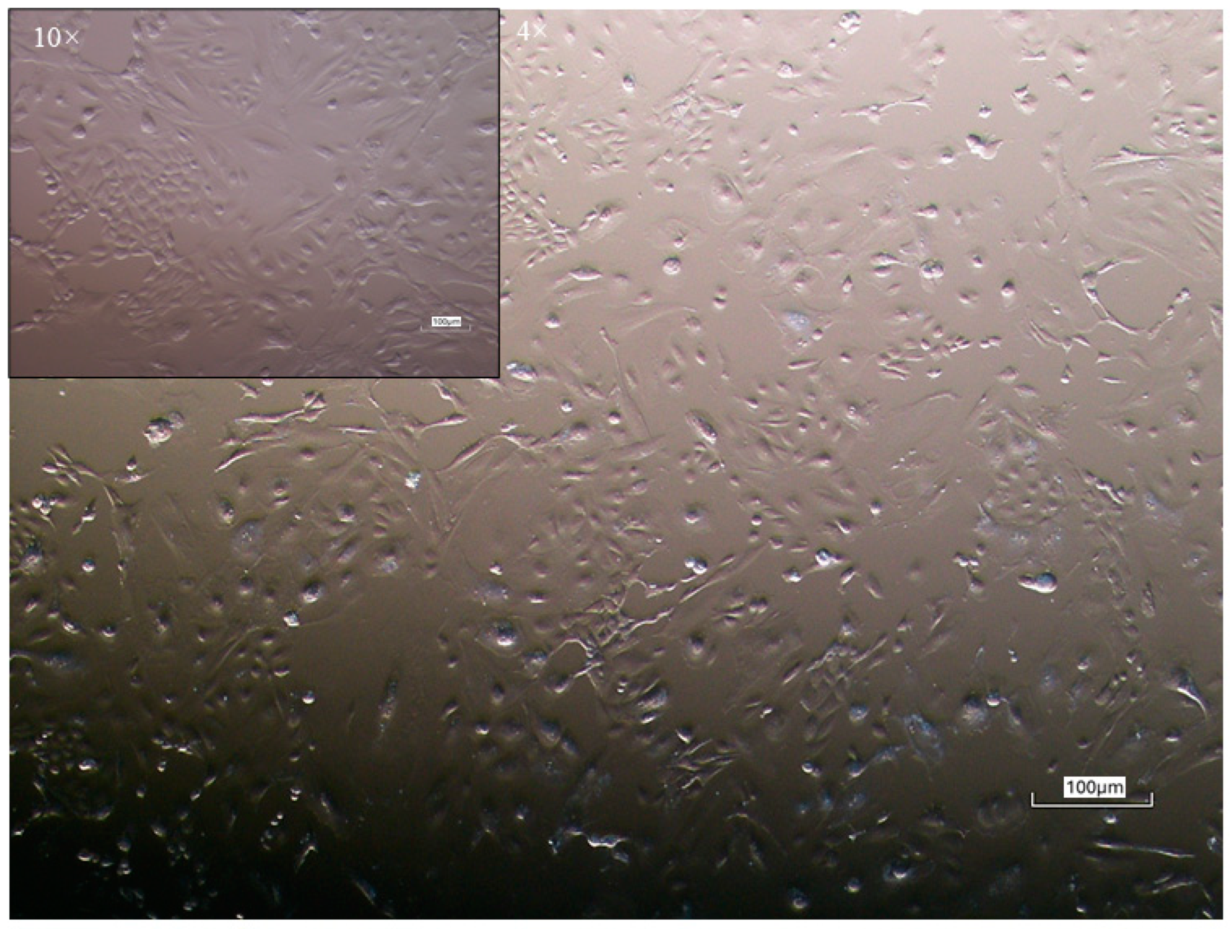 Preprints 154462 g001