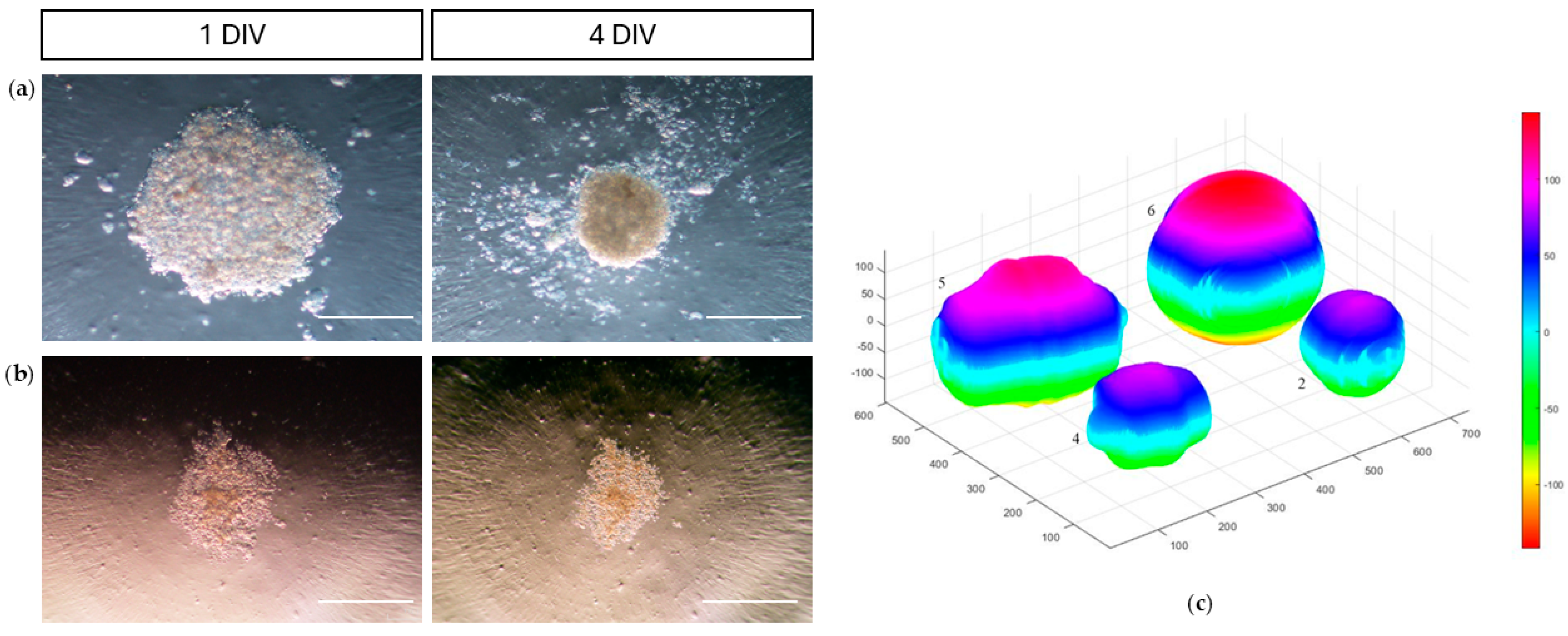 Preprints 154462 g004
