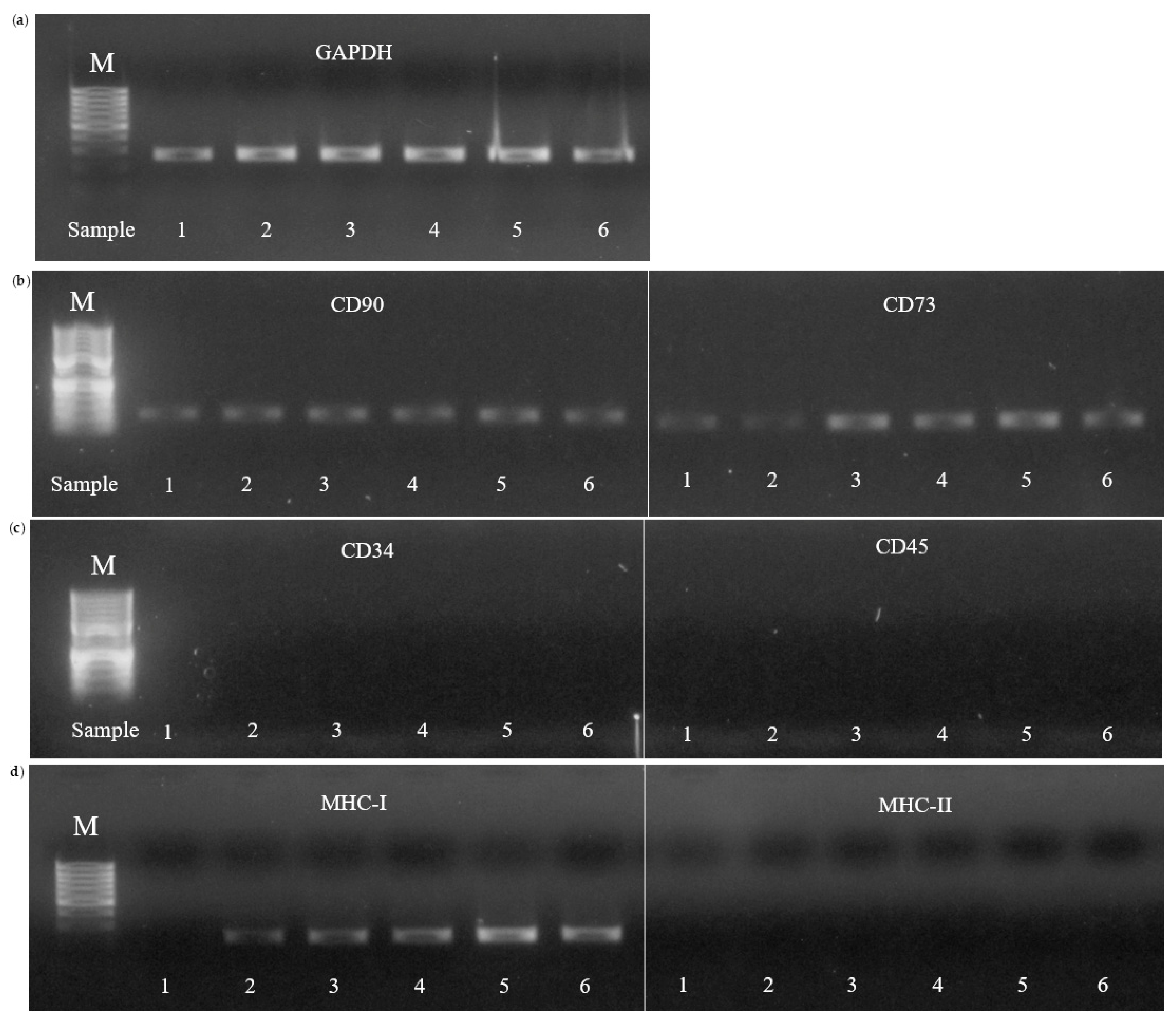Preprints 154462 g007