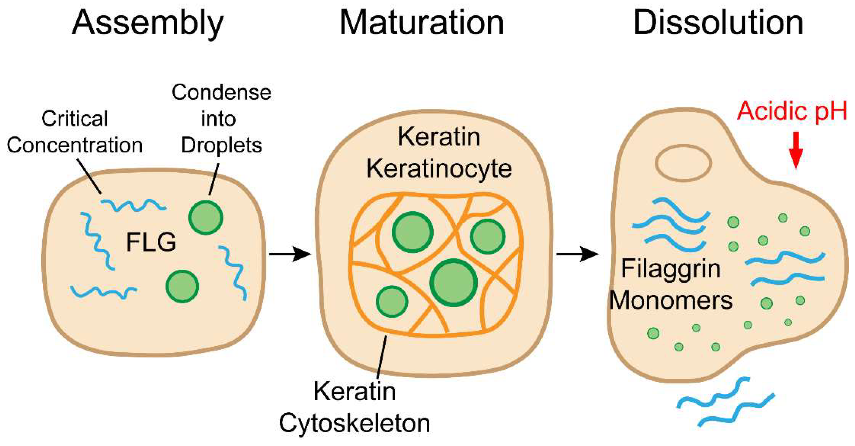 Preprints 171558 g001