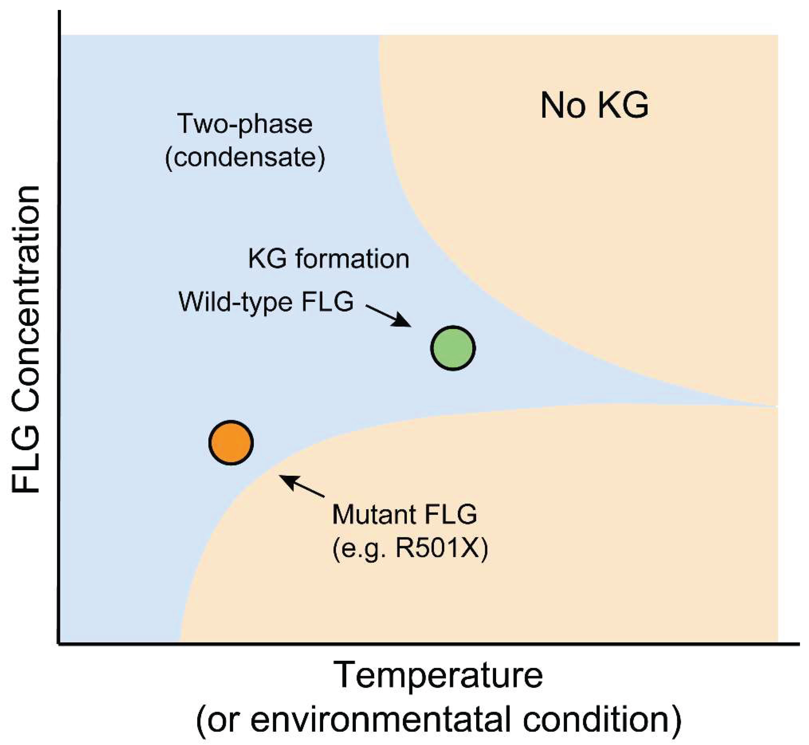 Preprints 171558 g003