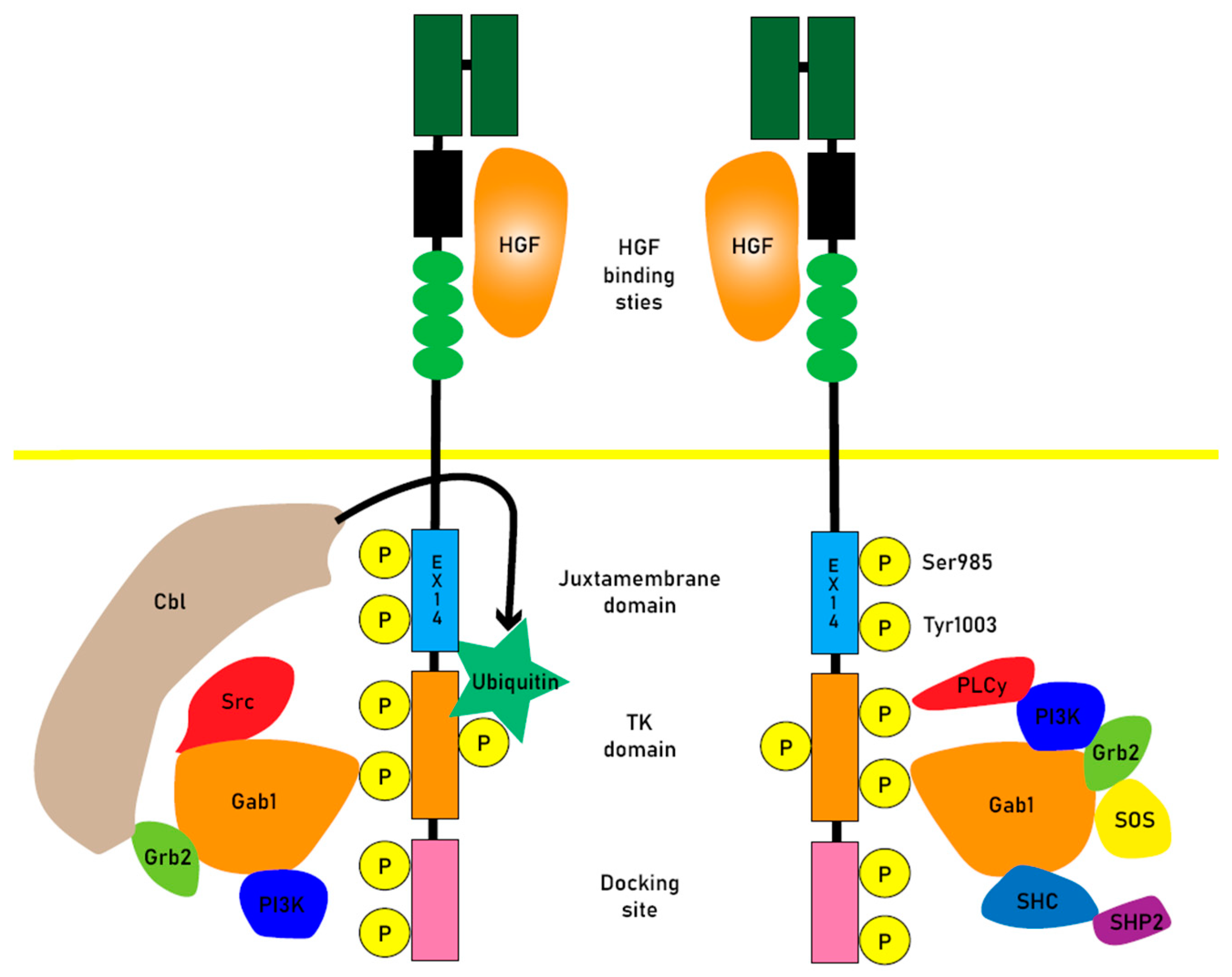 Preprints 81304 g001
