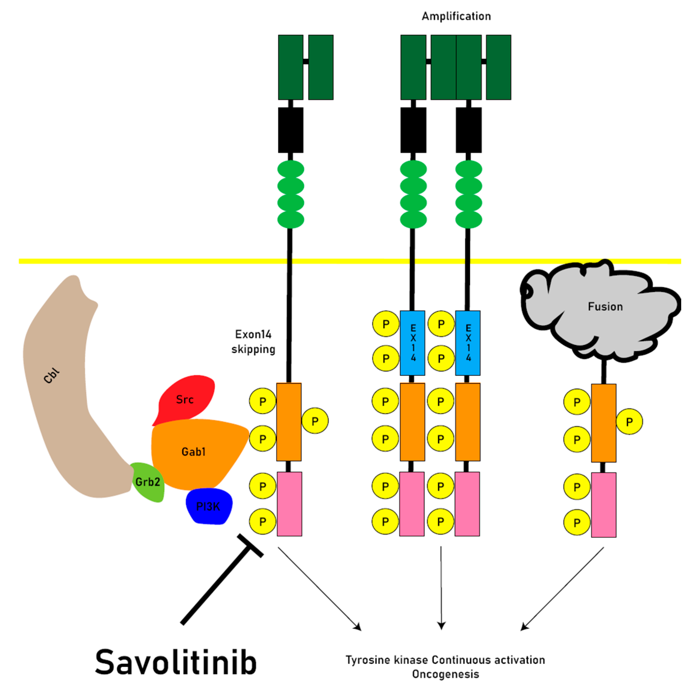 Preprints 81304 g002