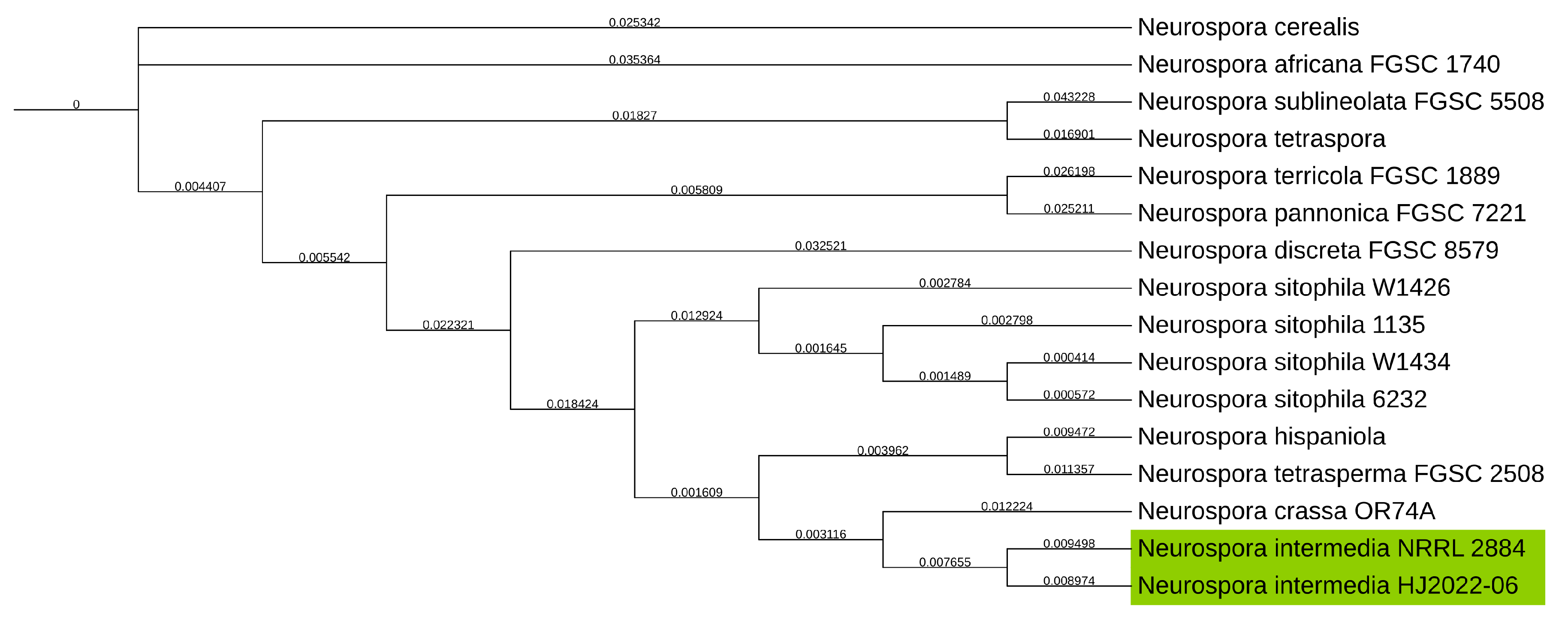 Preprints 173374 g002