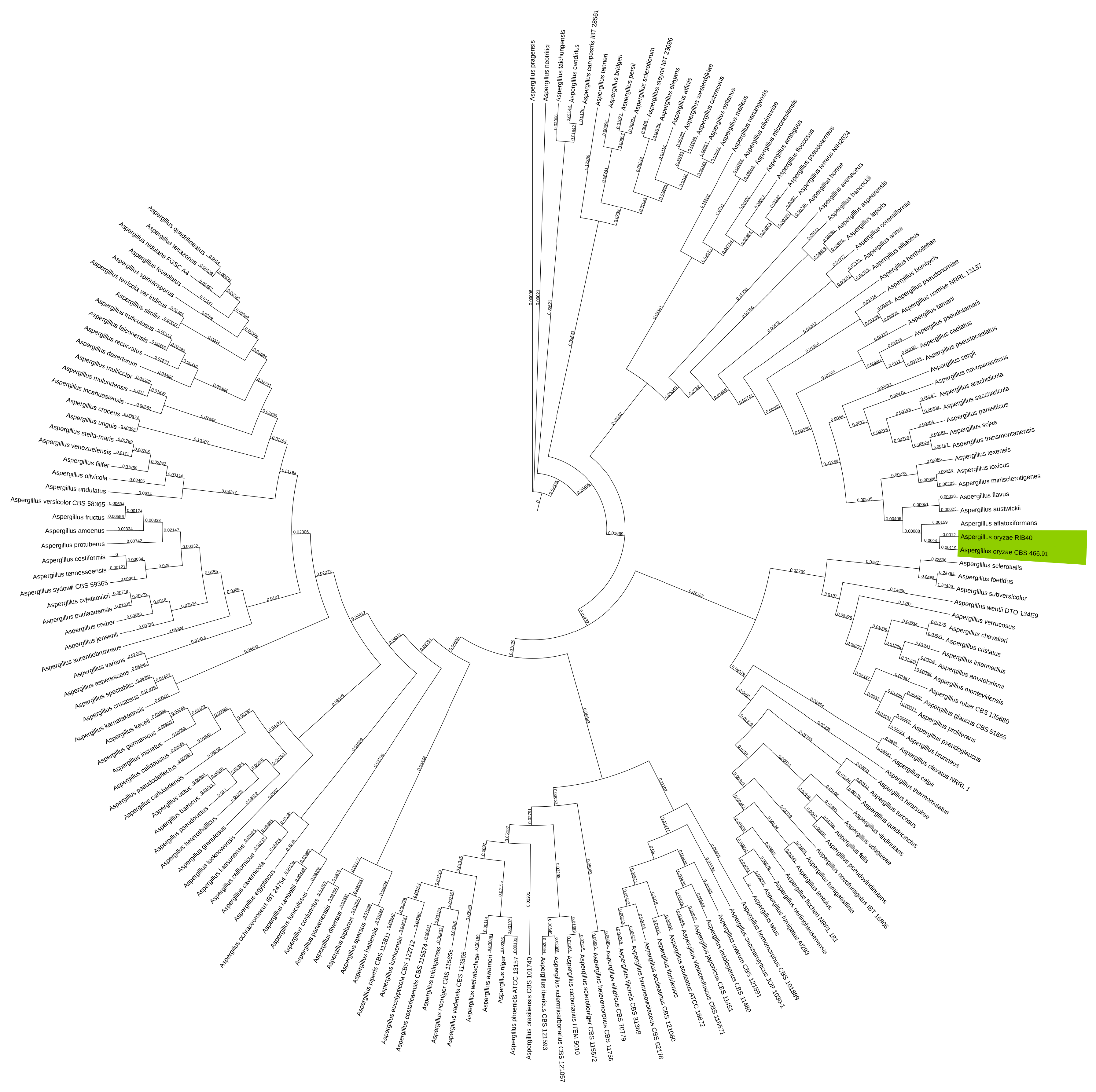 Preprints 173374 g005