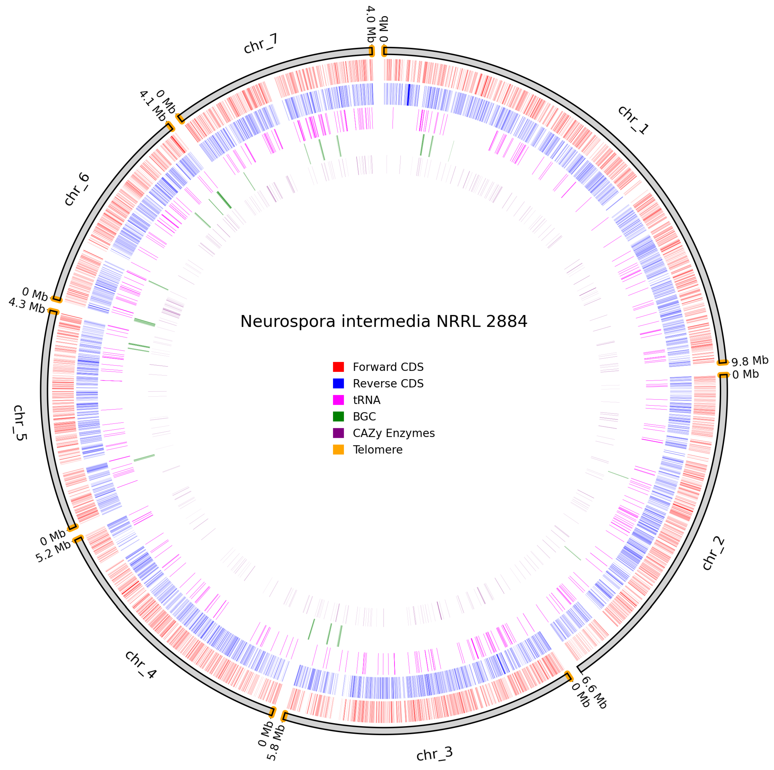 Preprints 173374 g009