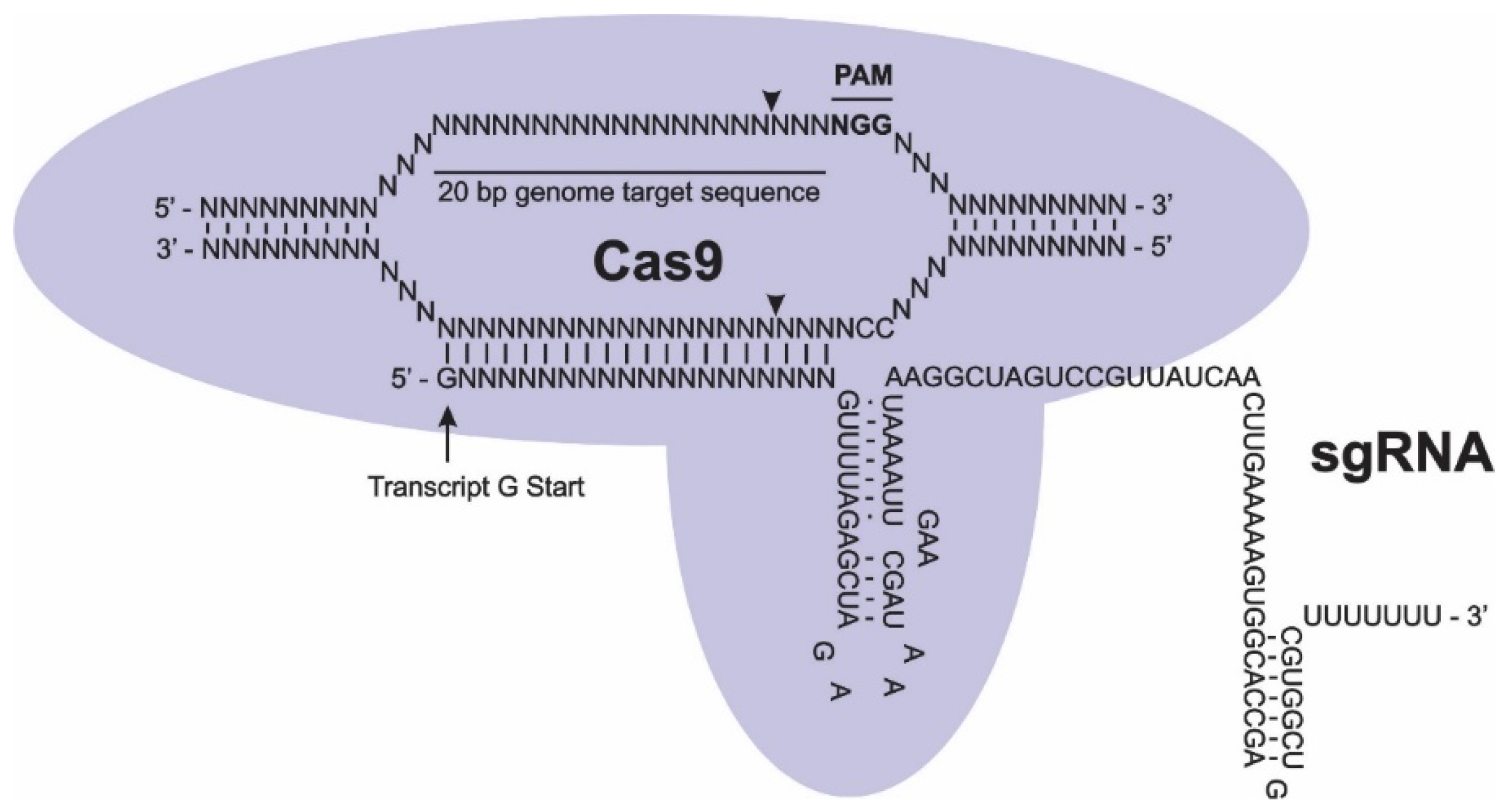 Preprints 206248 g001 Preprints 206248 g001
