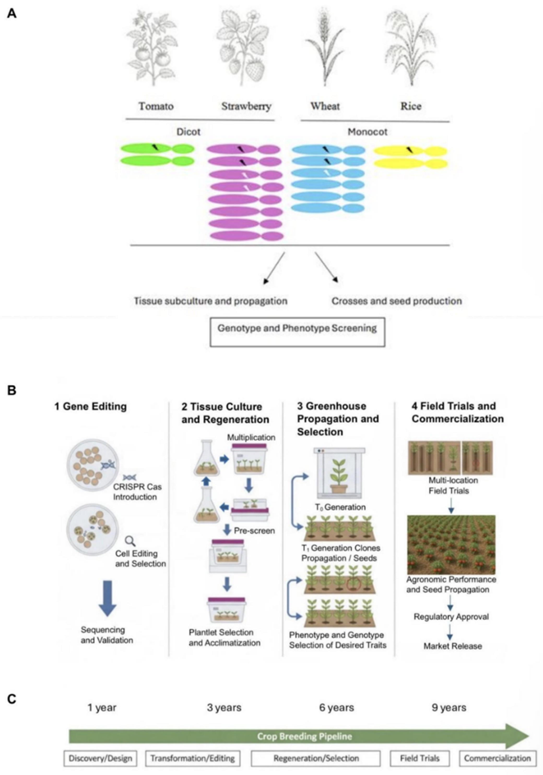 Preprints 206248 g004 Preprints 206248 g004