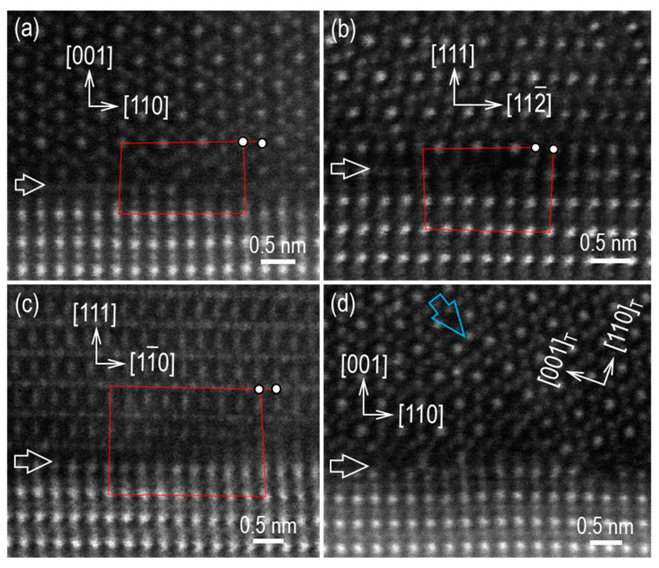 Preprints 85990 g002