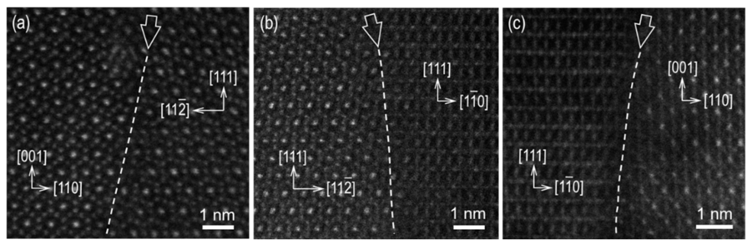 Preprints 85990 g003