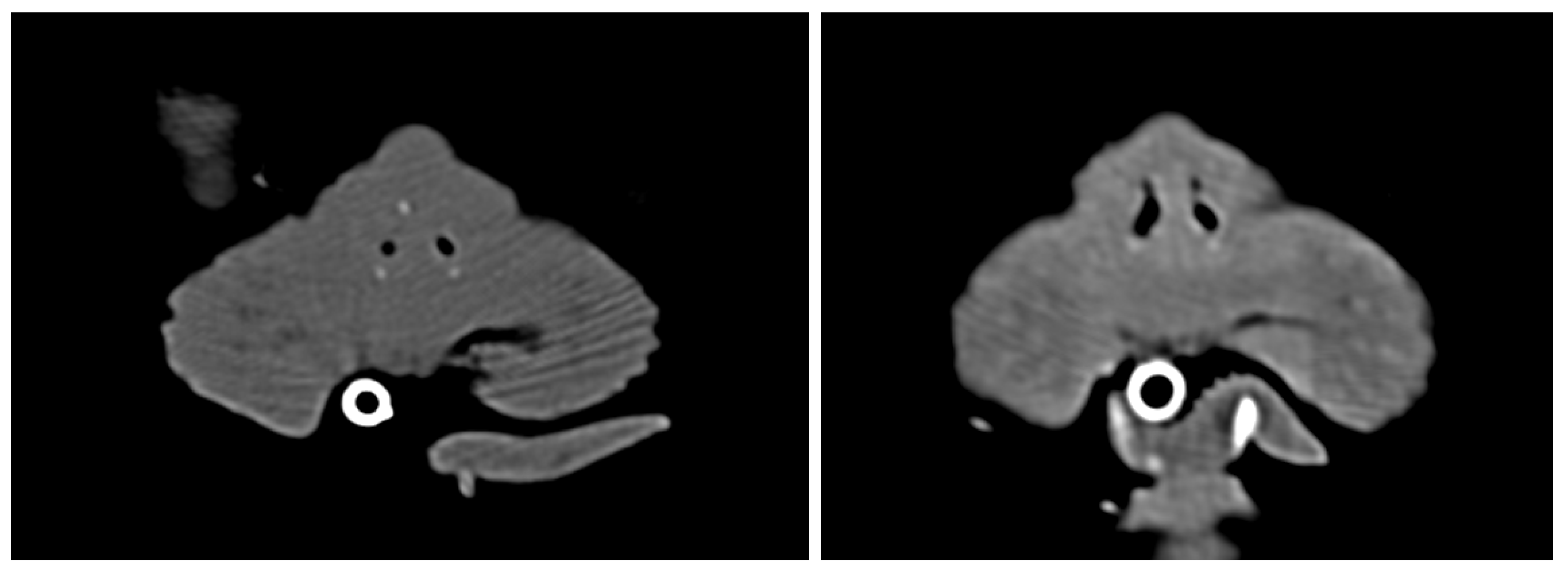 Preprints 204747 g006
