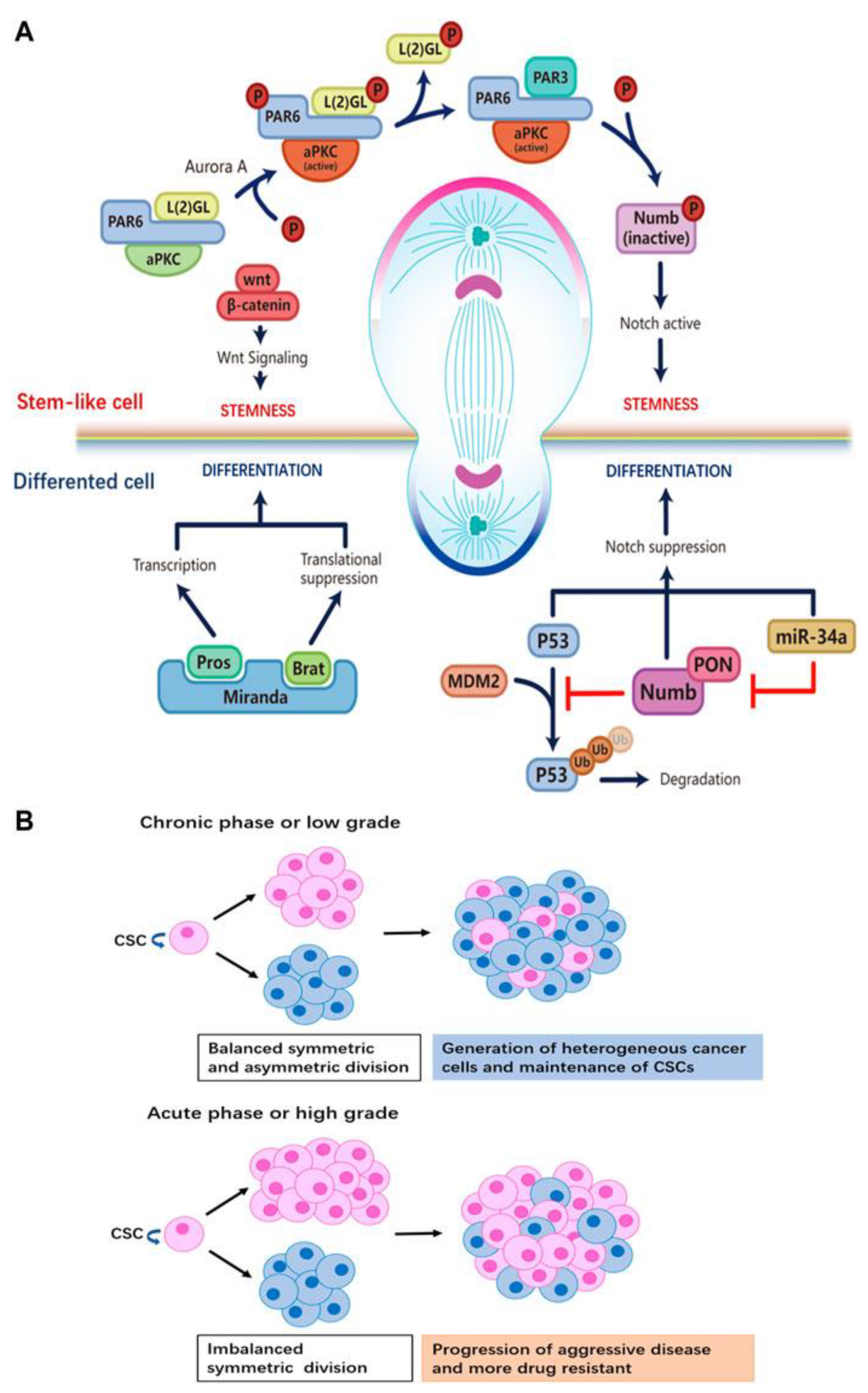 Preprints 151384 g004