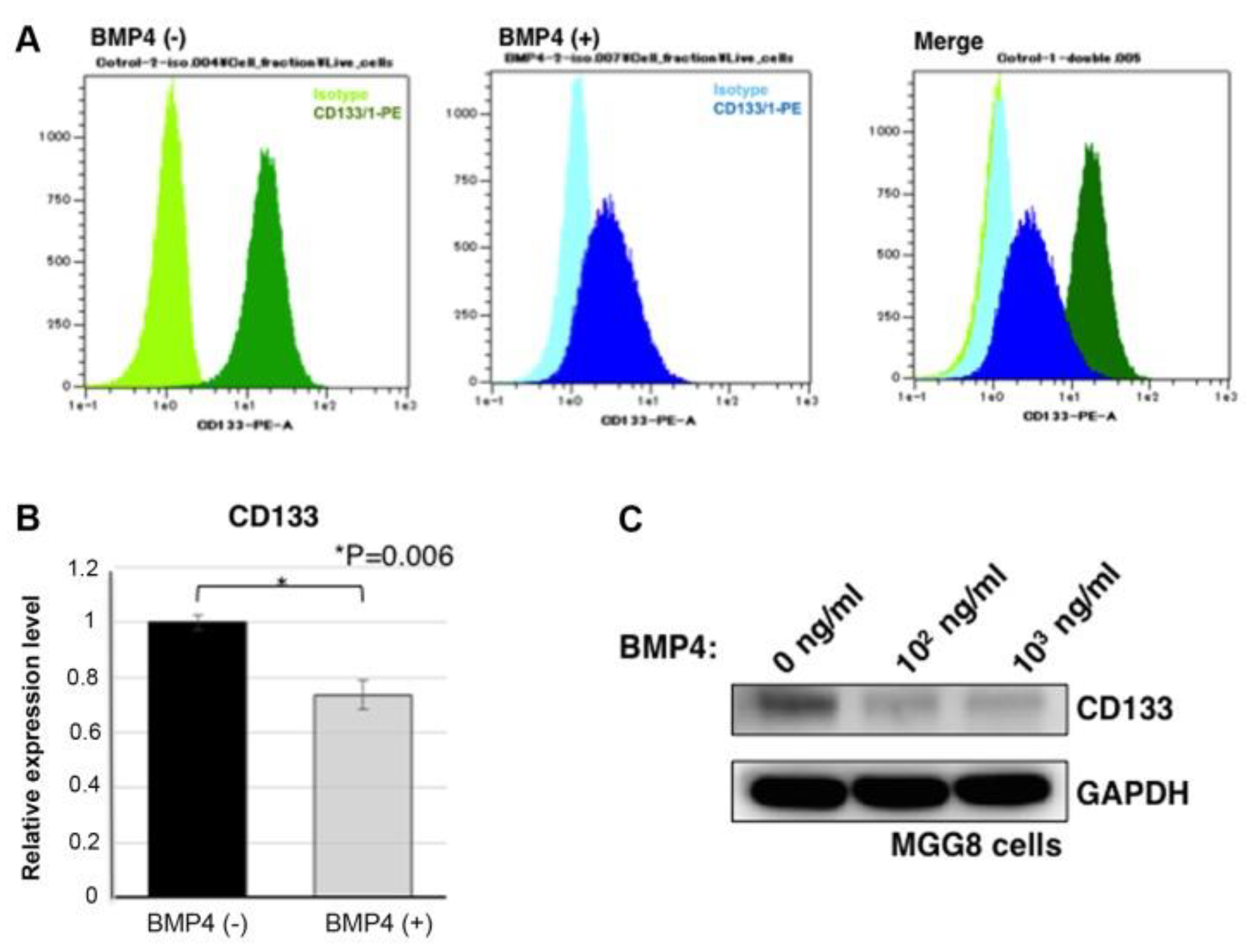 Preprints 151384 g005