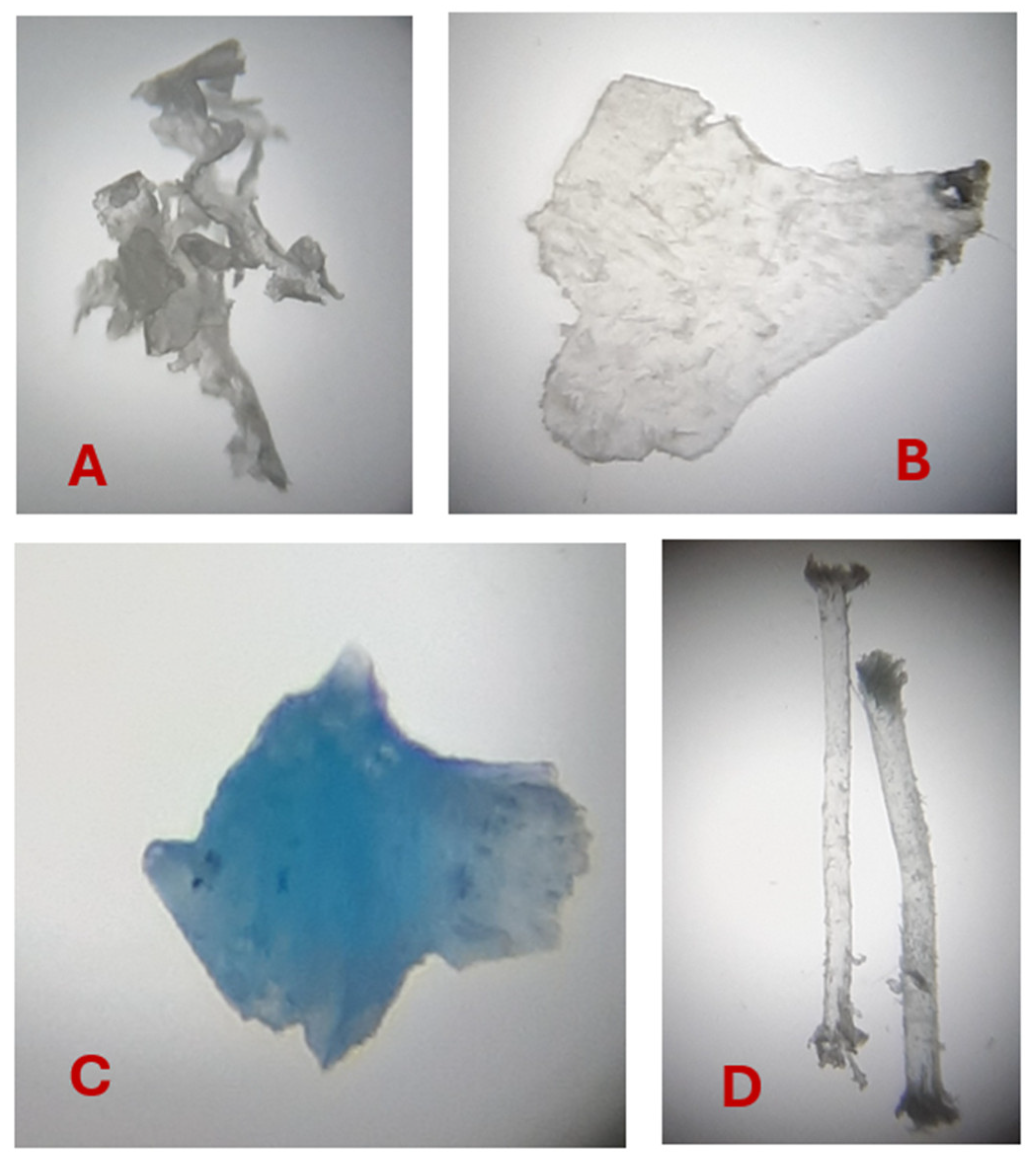 Preprints 215600 g002 Preprints 215600 g002
