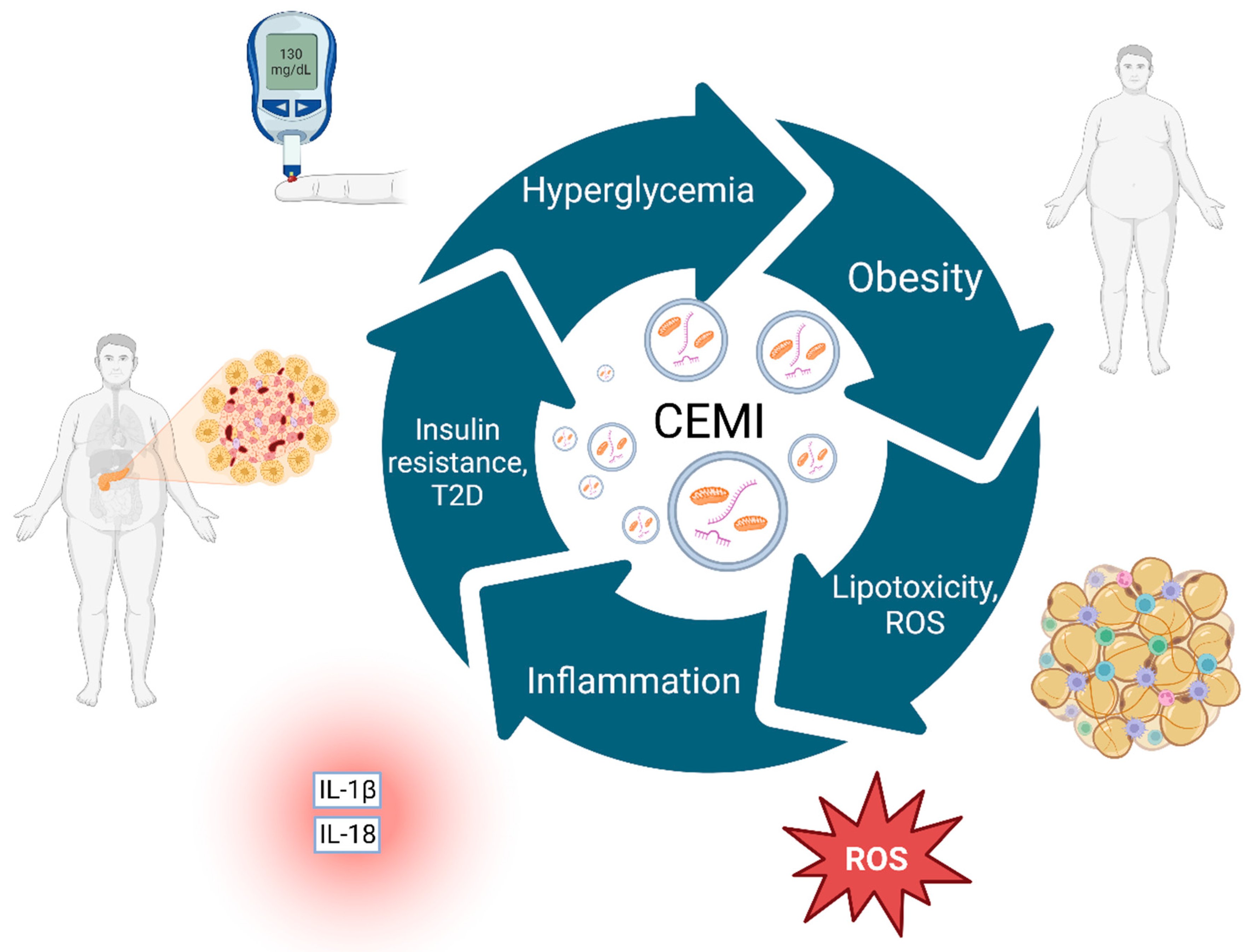 Preprints 107970 g002