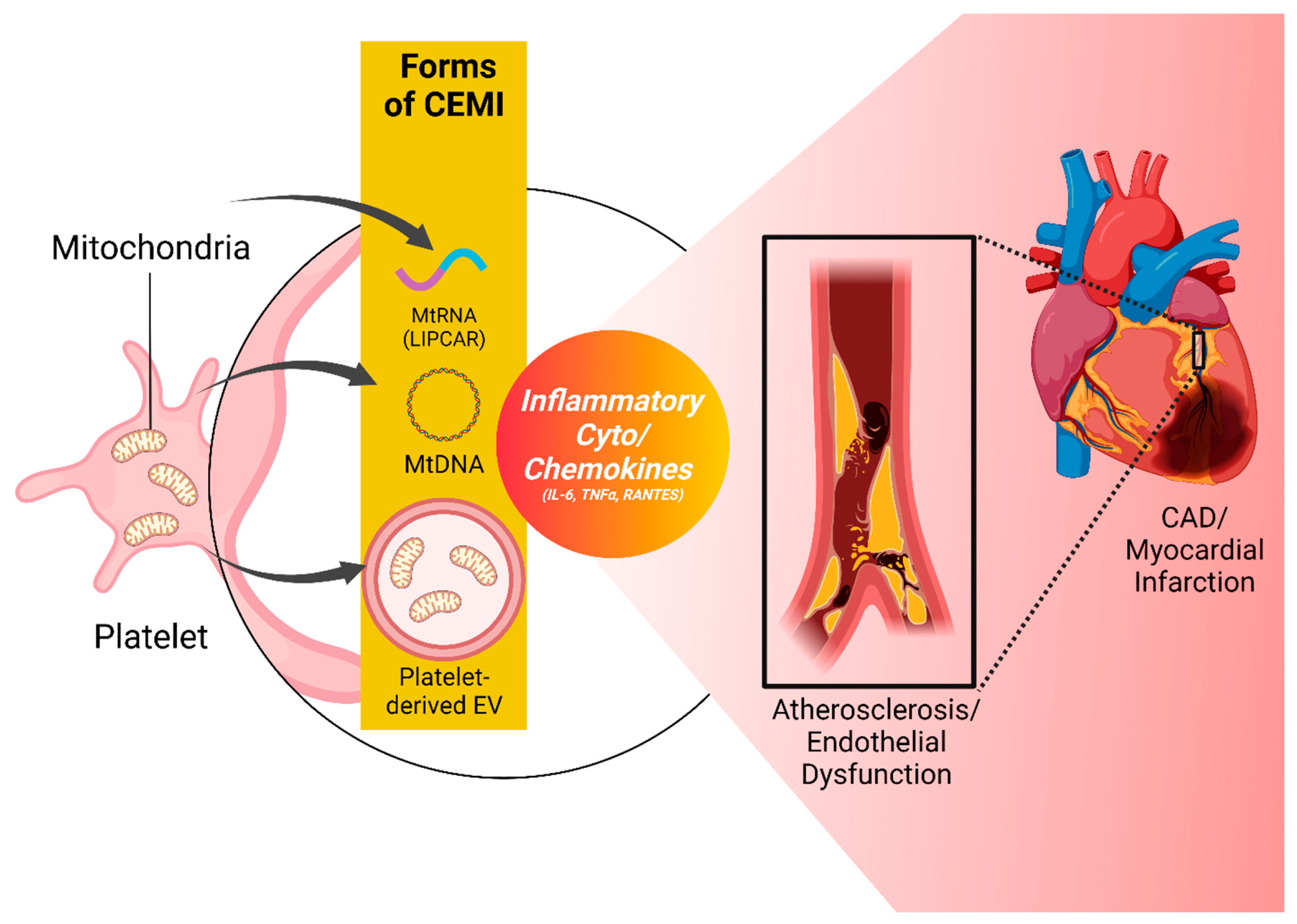 Preprints 107970 g003