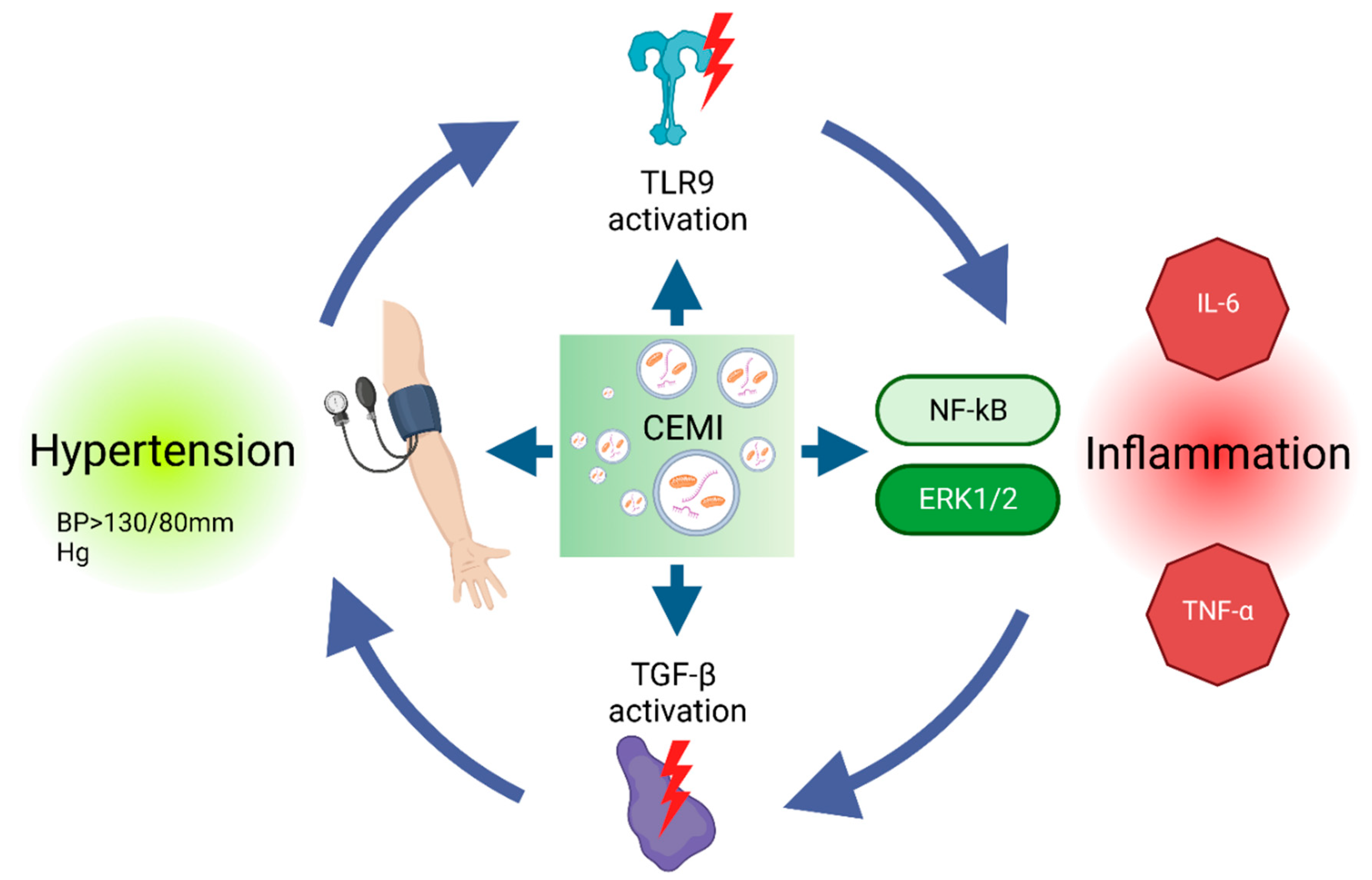 Preprints 107970 g004