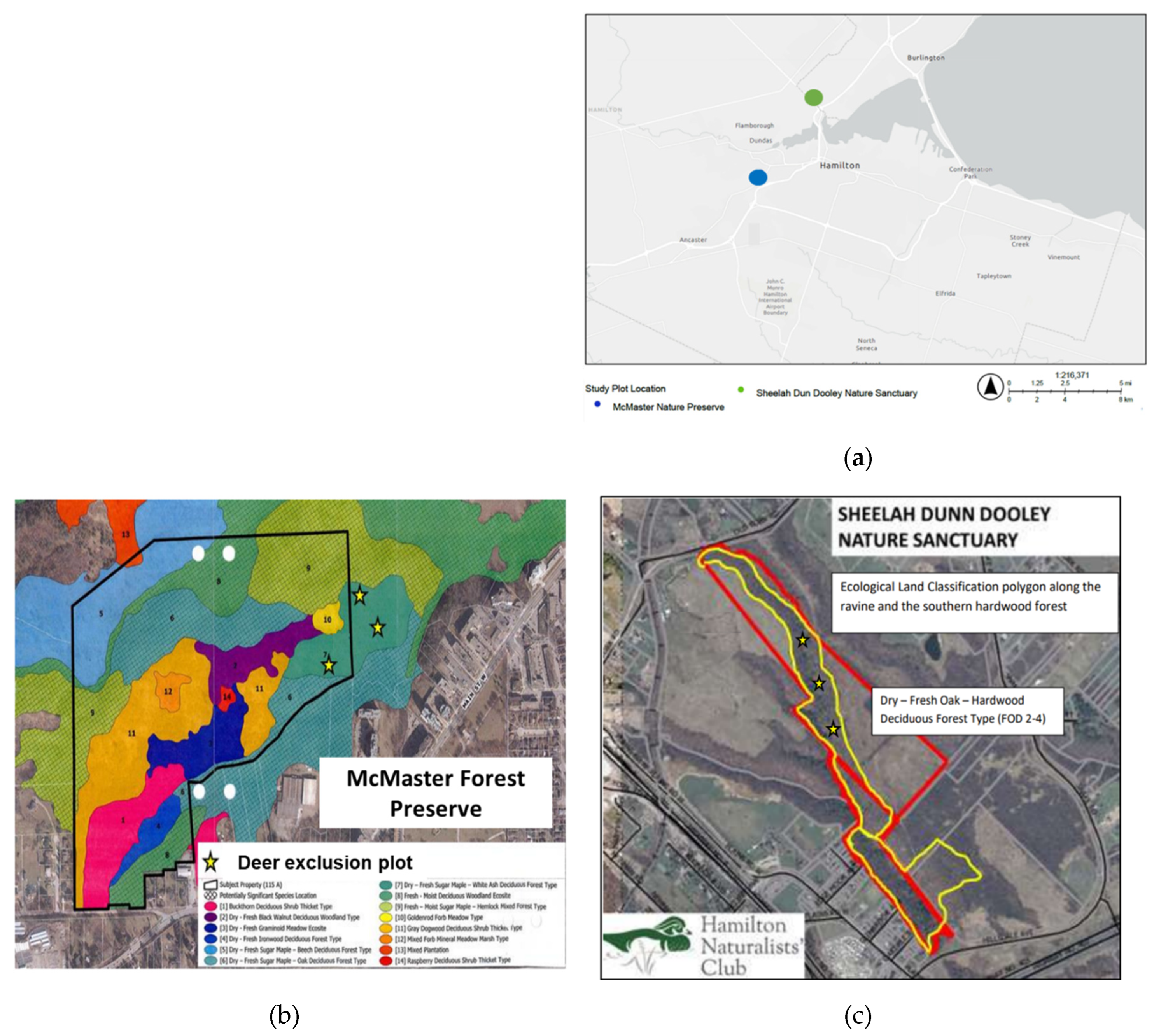Preprints 138411 g001
