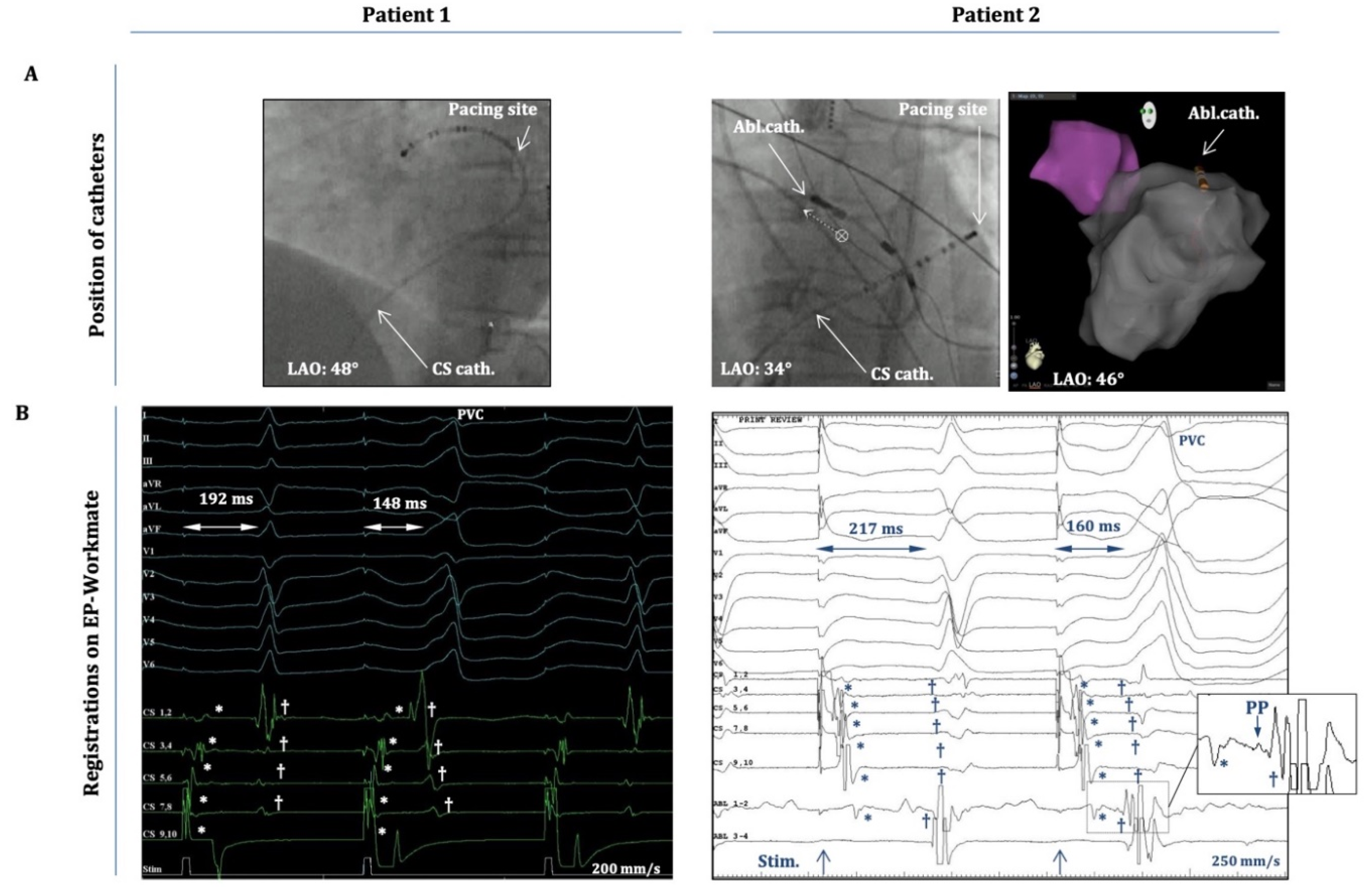 Preprints 151519 g002