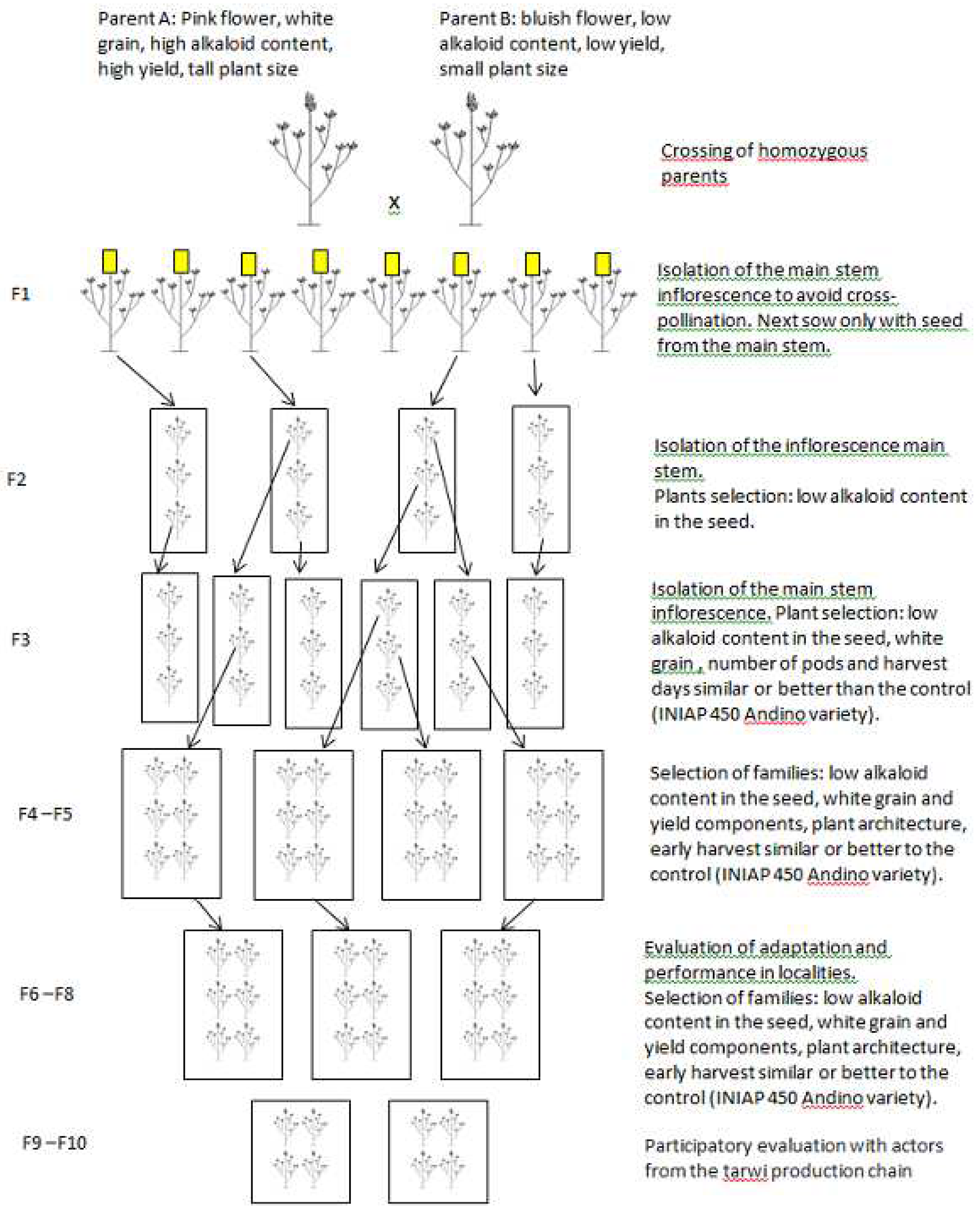 Preprints 86921 g004