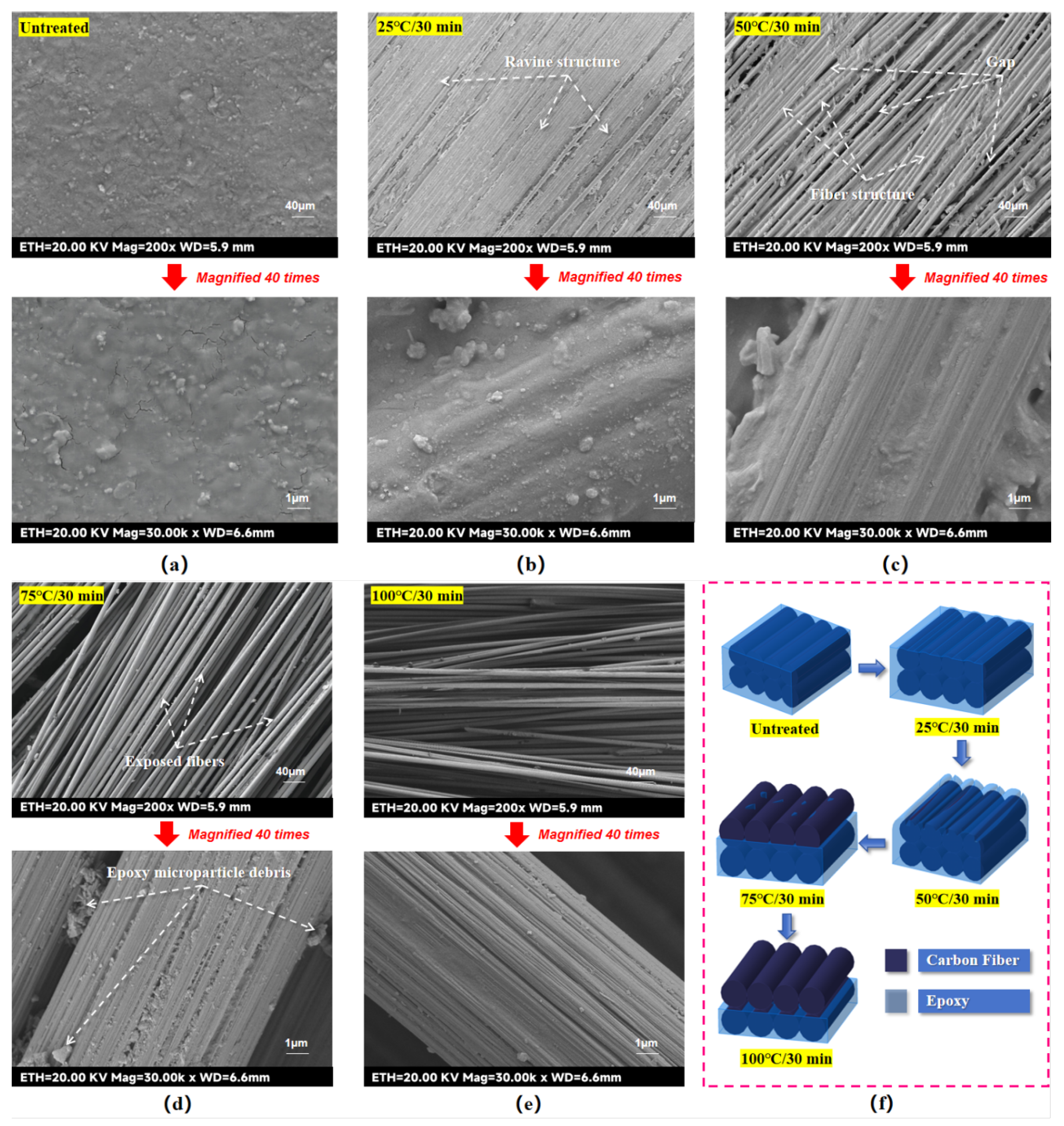 Preprints 159696 g006
