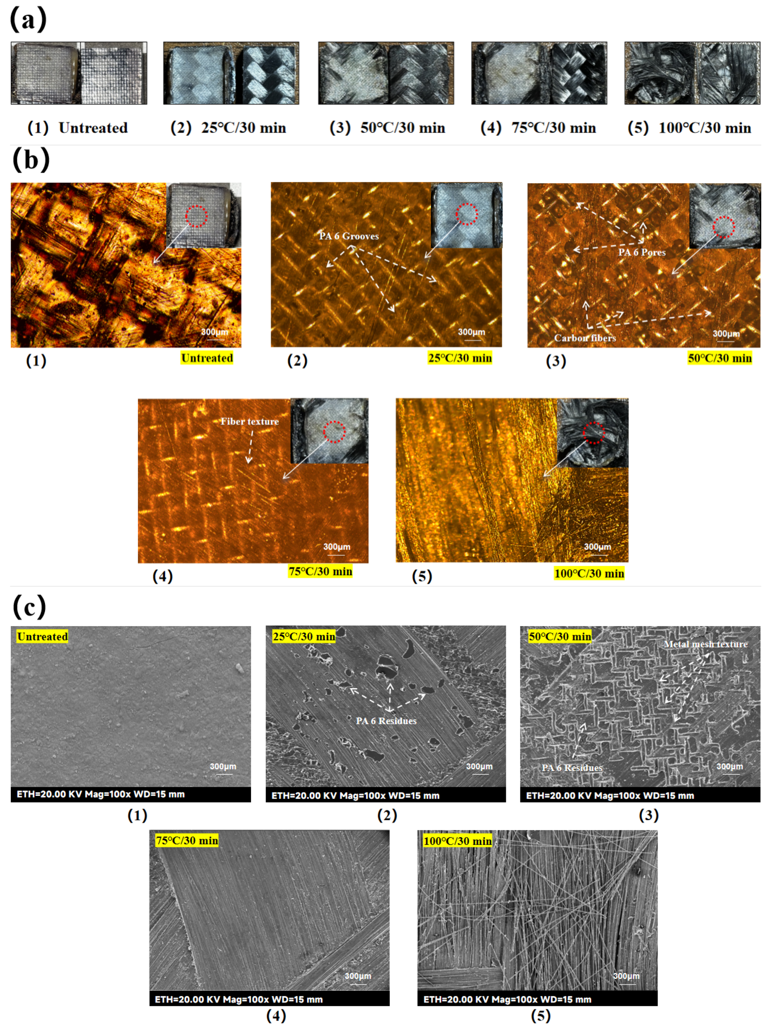 Preprints 159696 g013