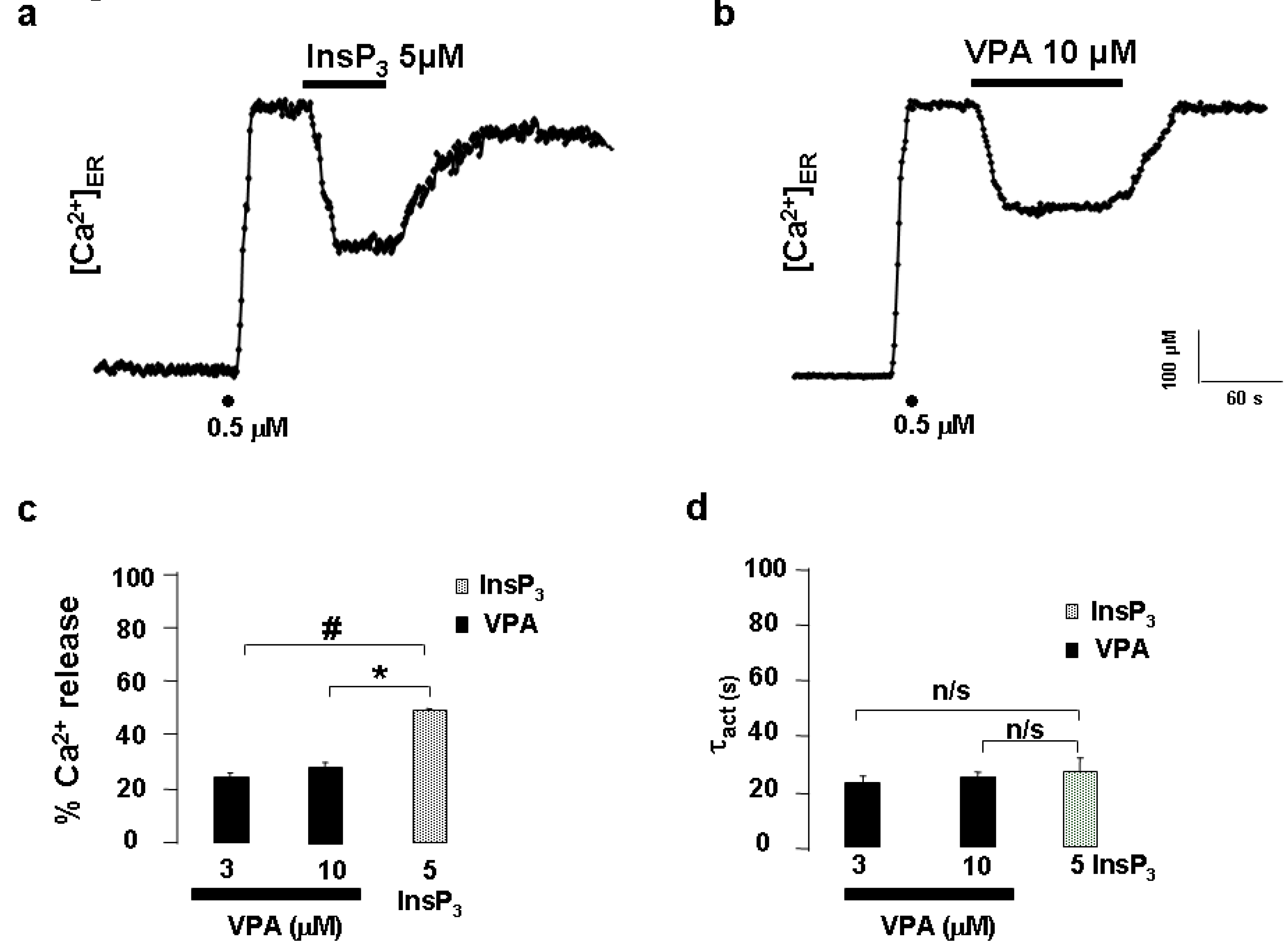 Preprints 194374 g002