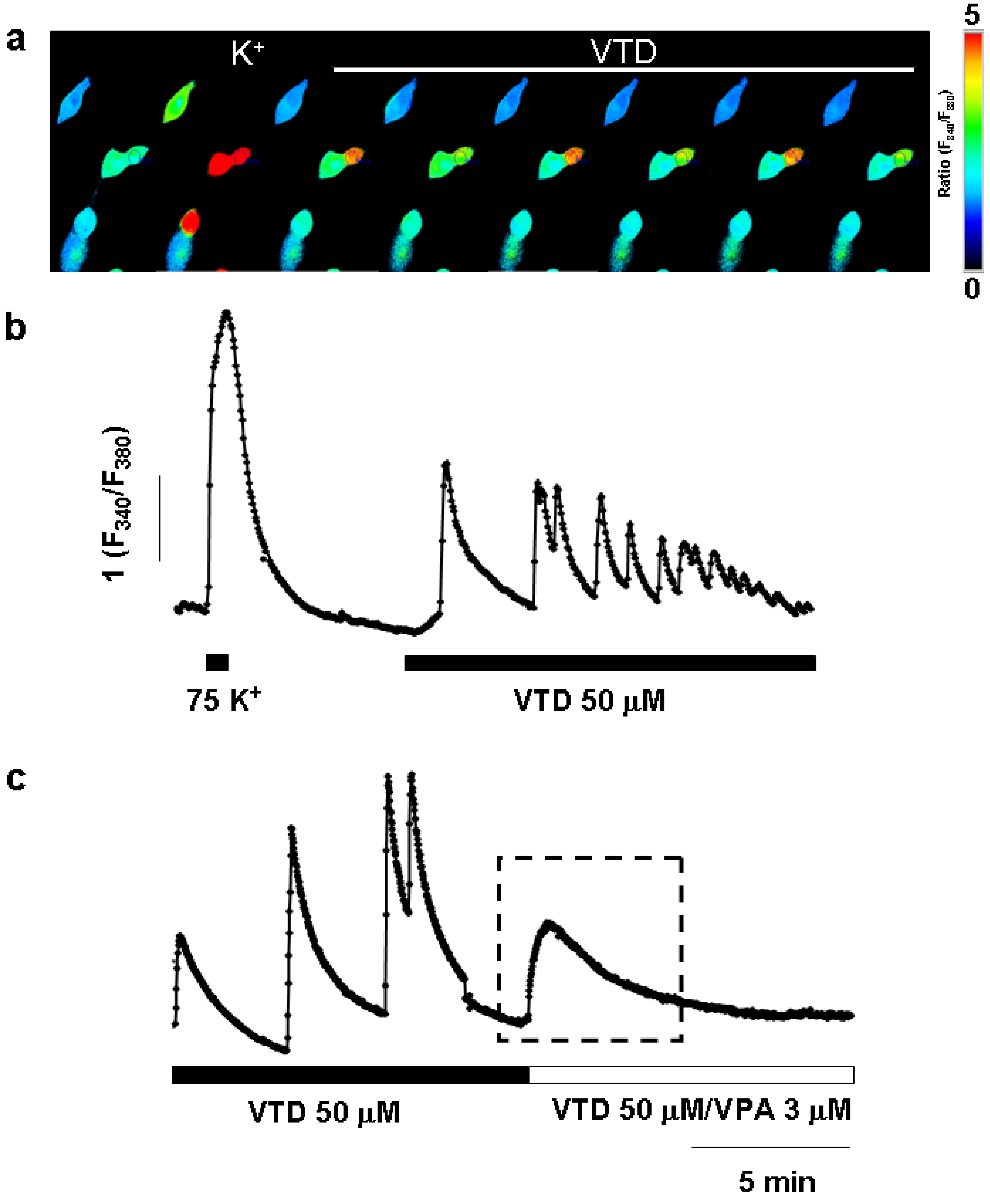 Preprints 194374 g006