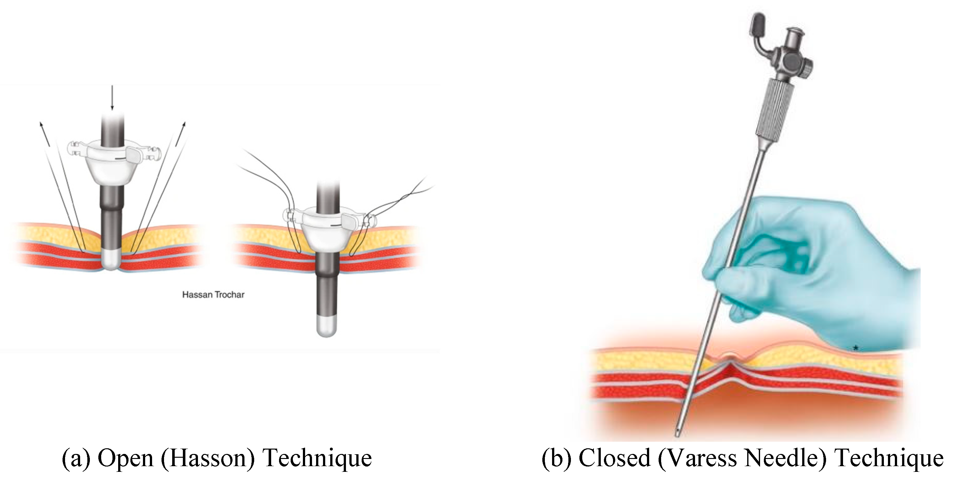 Preprints 86265 g001