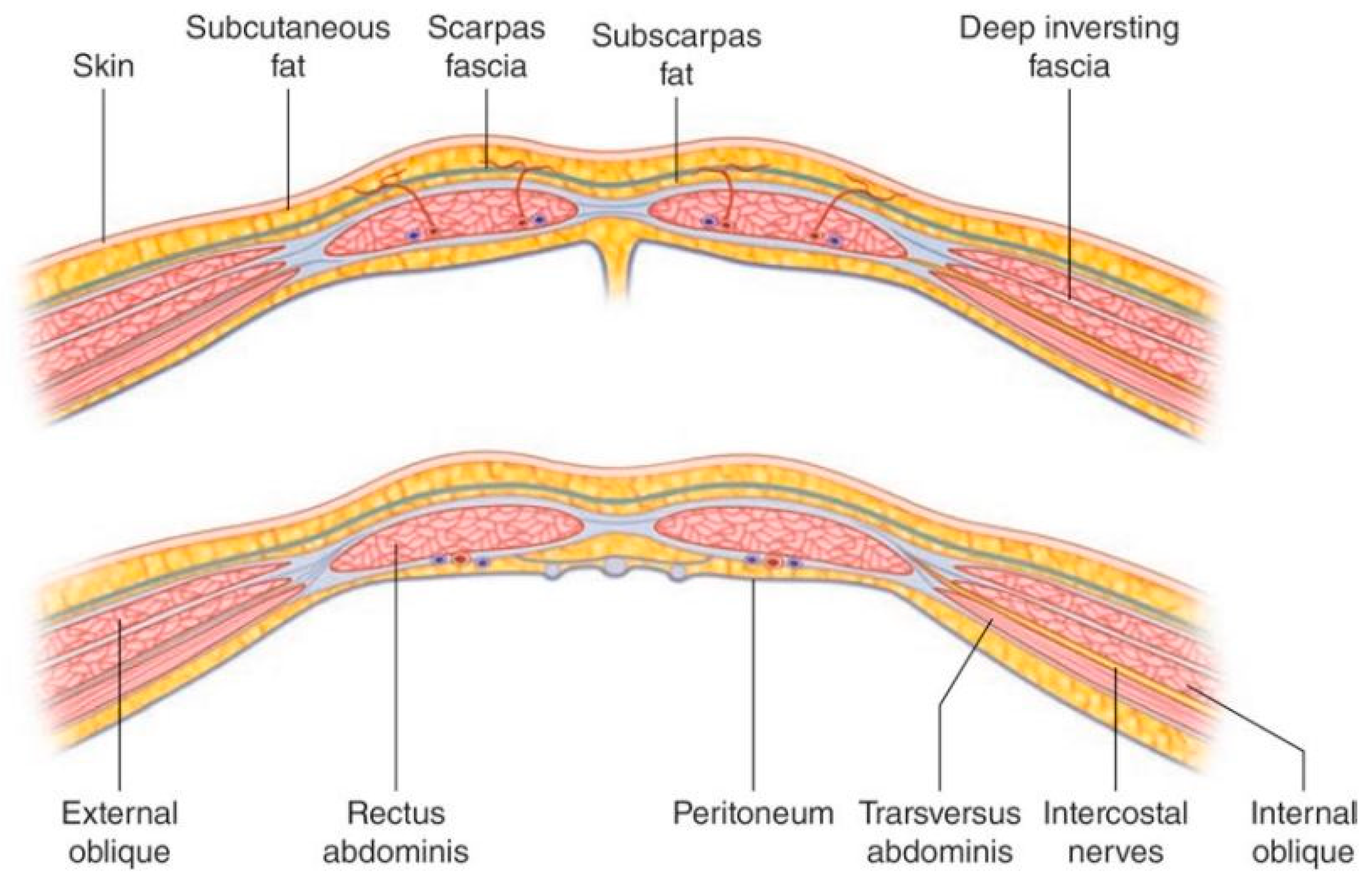 Preprints 86265 g002