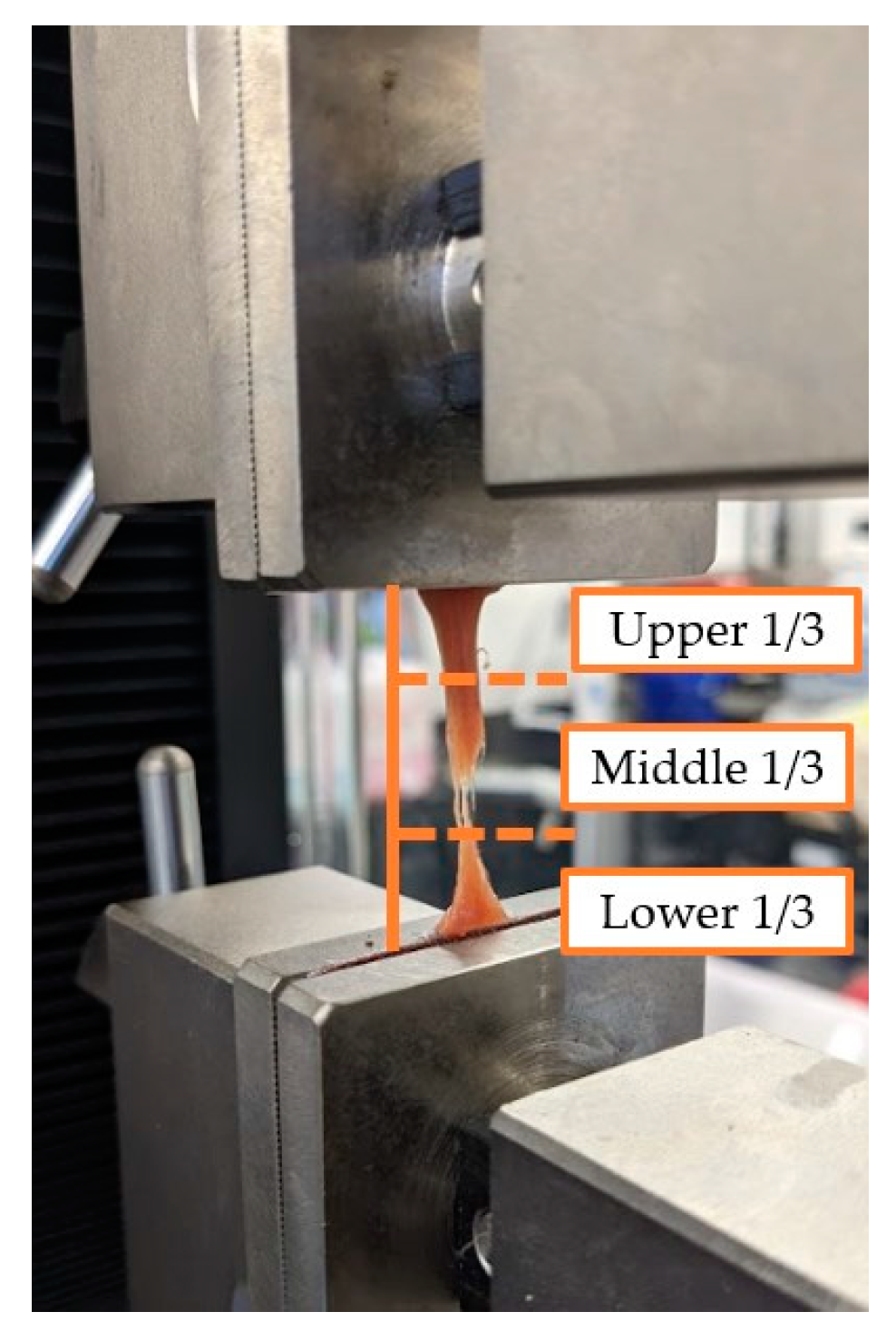 Preprints 86265 g005