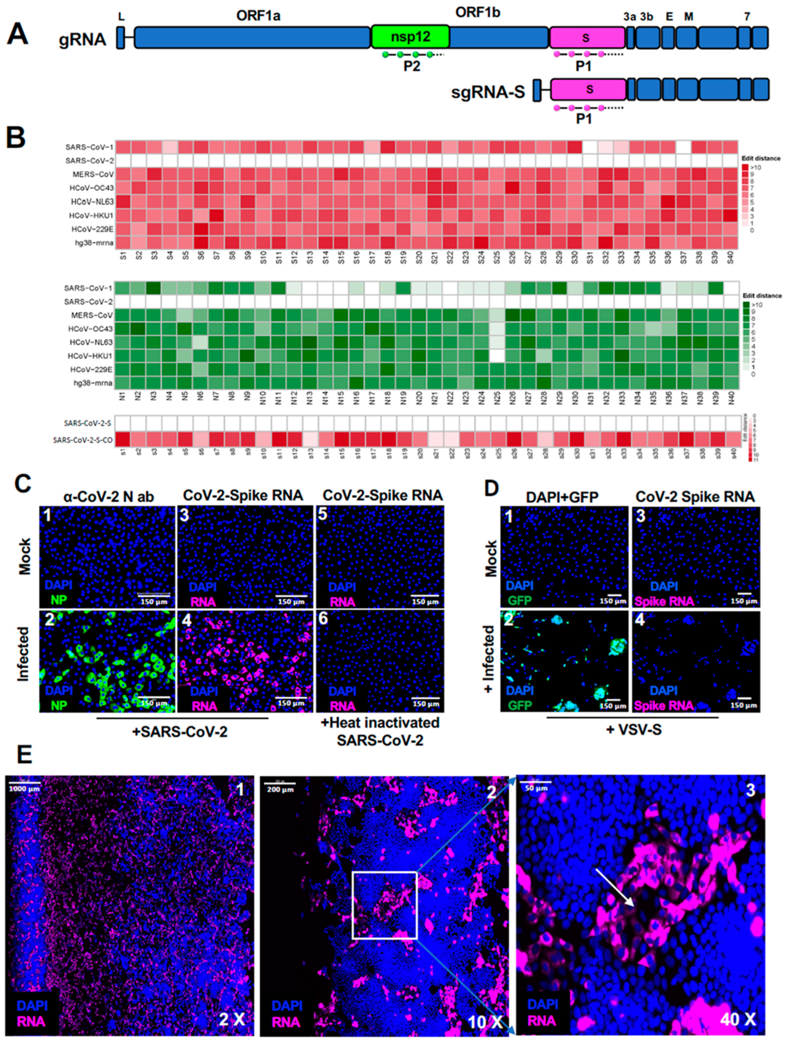 Preprints 96771 g001