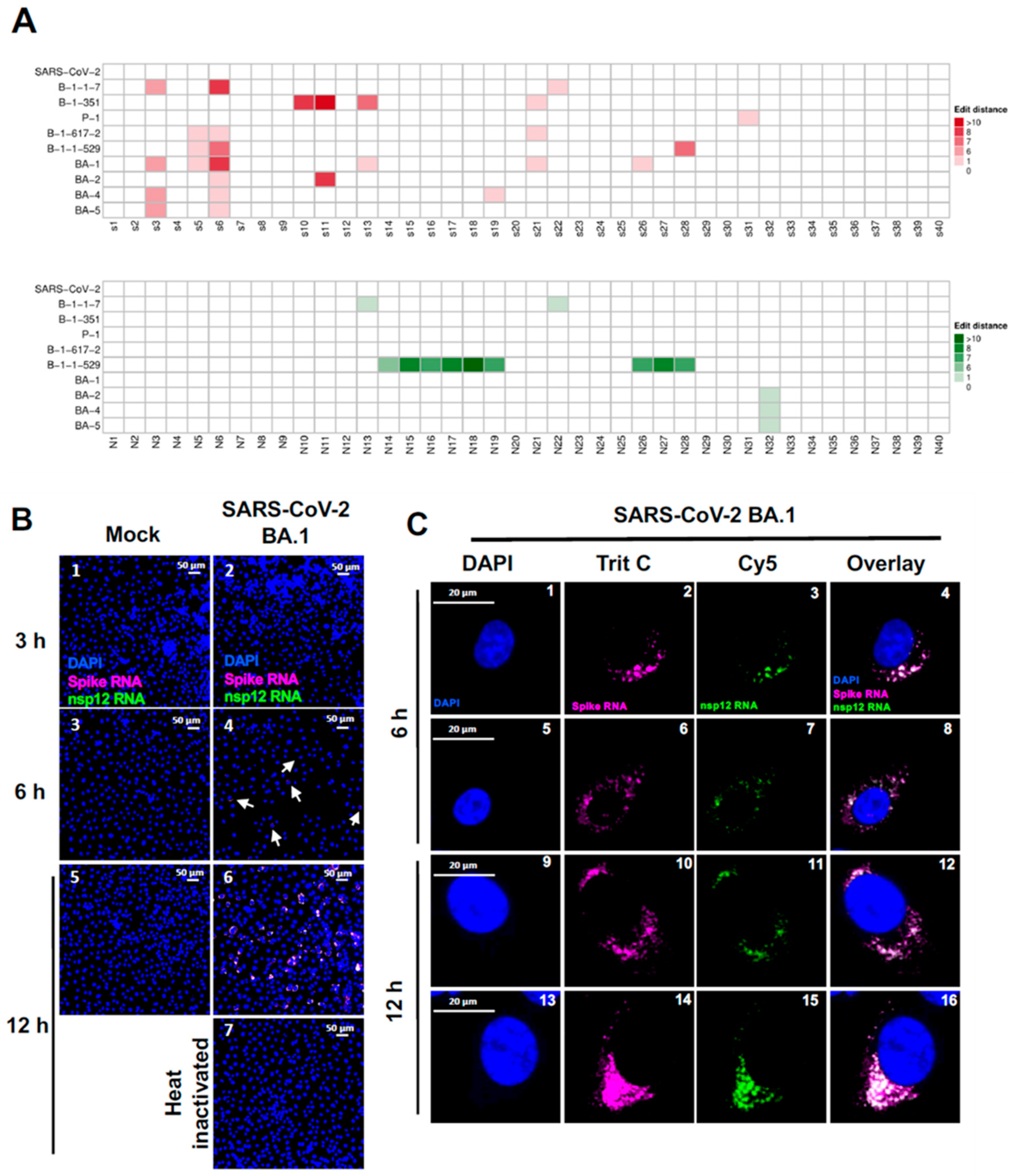 Preprints 96771 g008