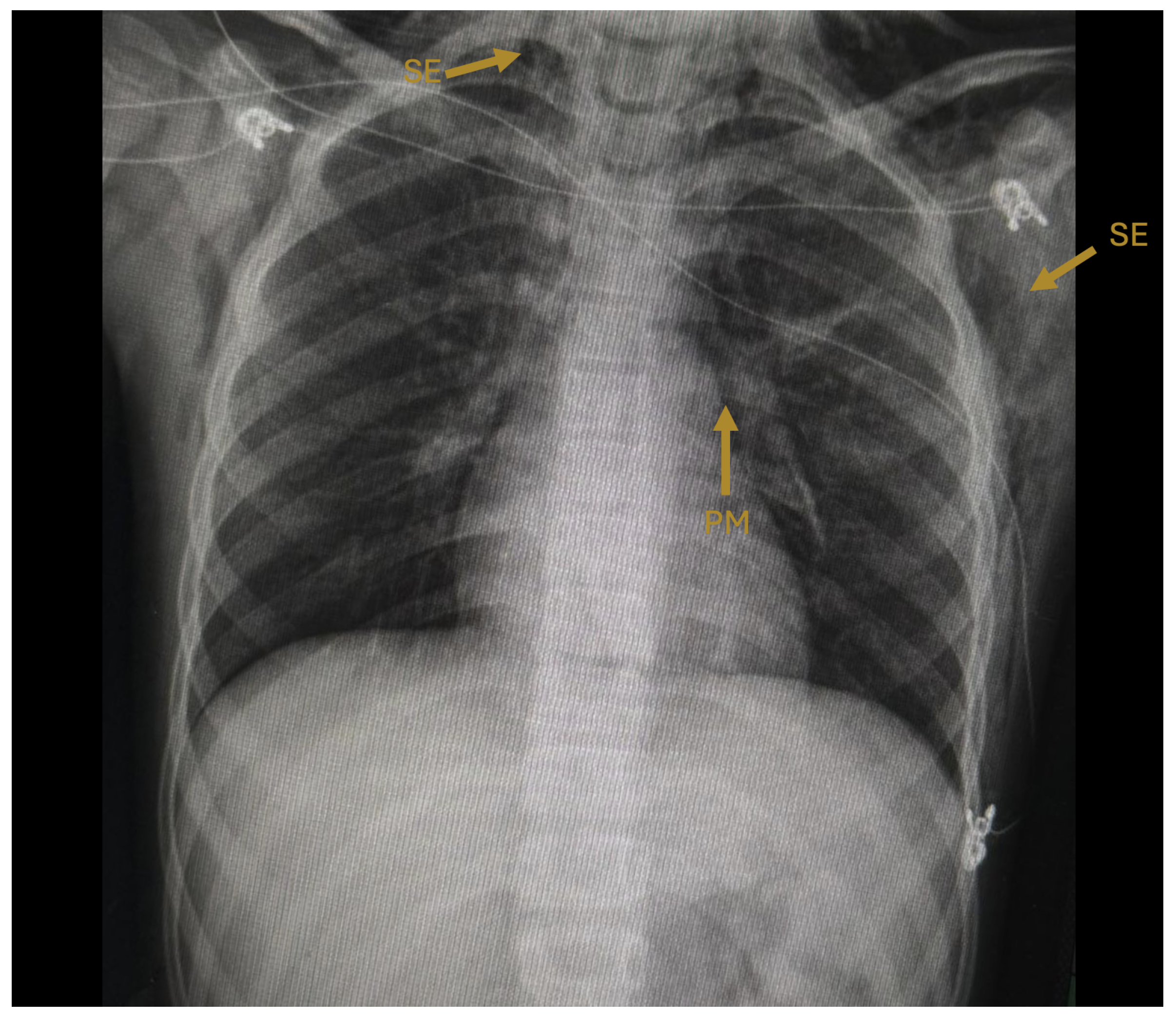 Preprints 201586 g001