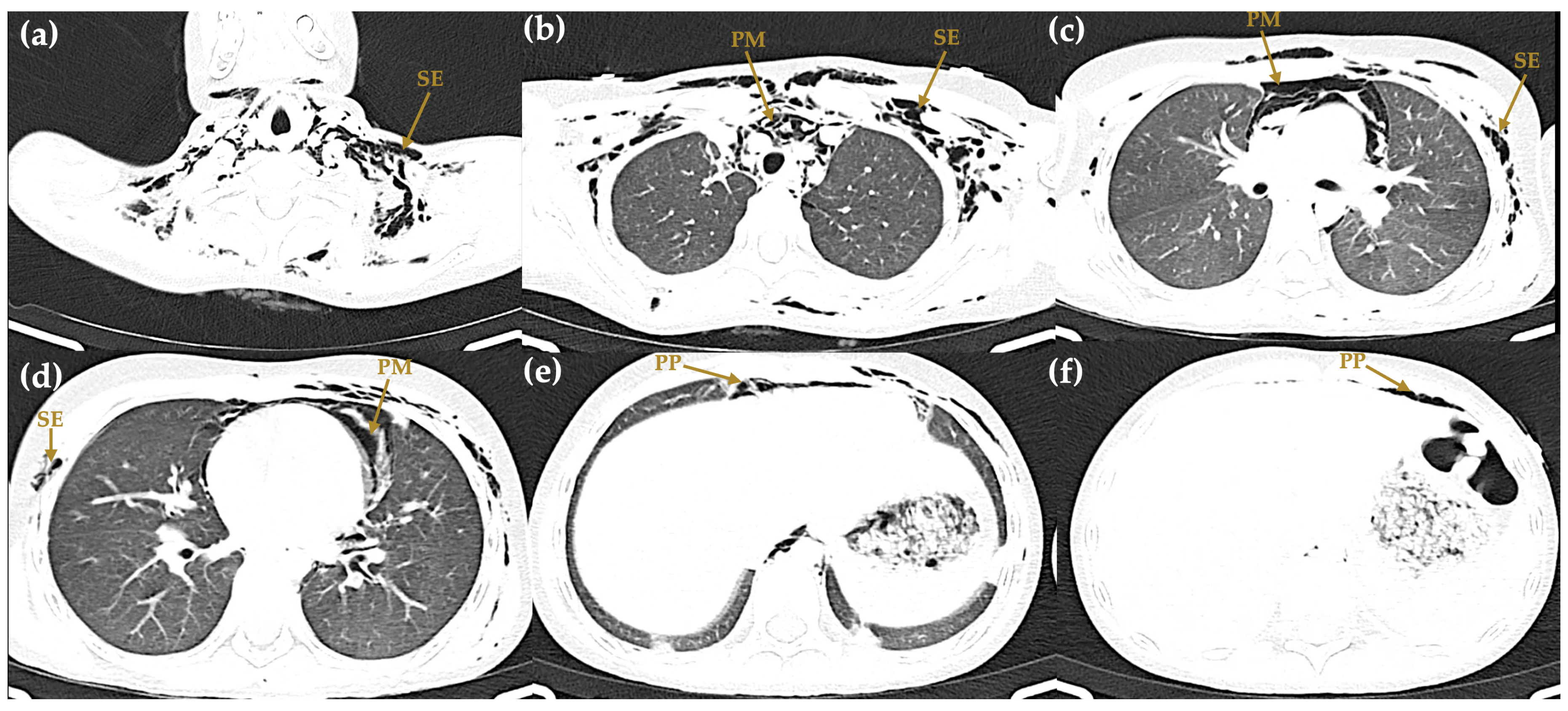 Preprints 201586 g004