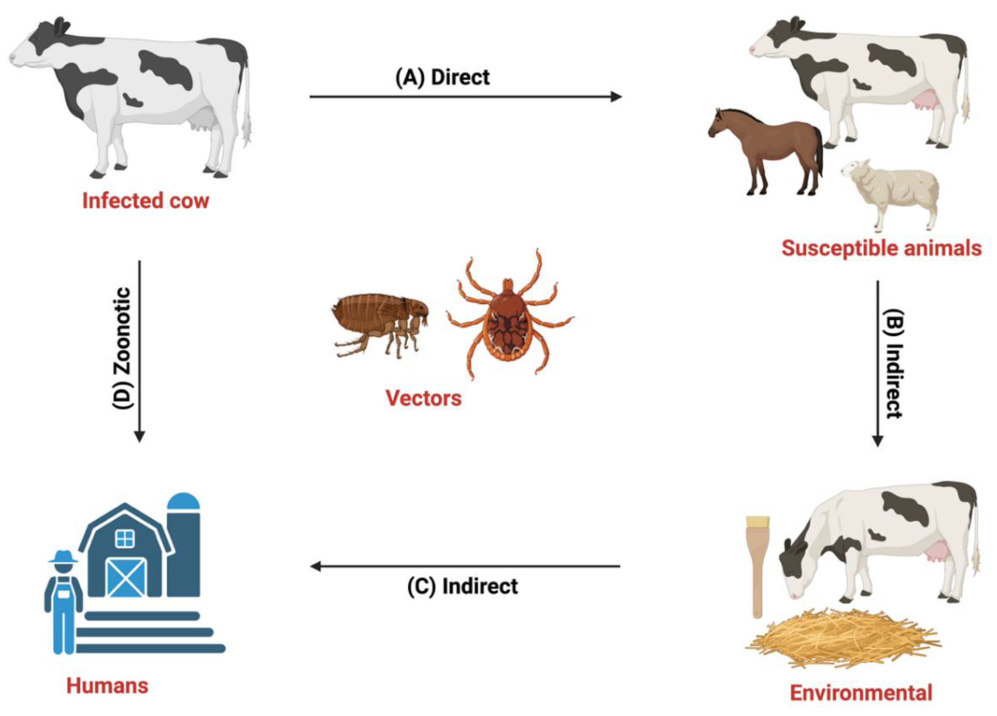 Preprints 172581 g001