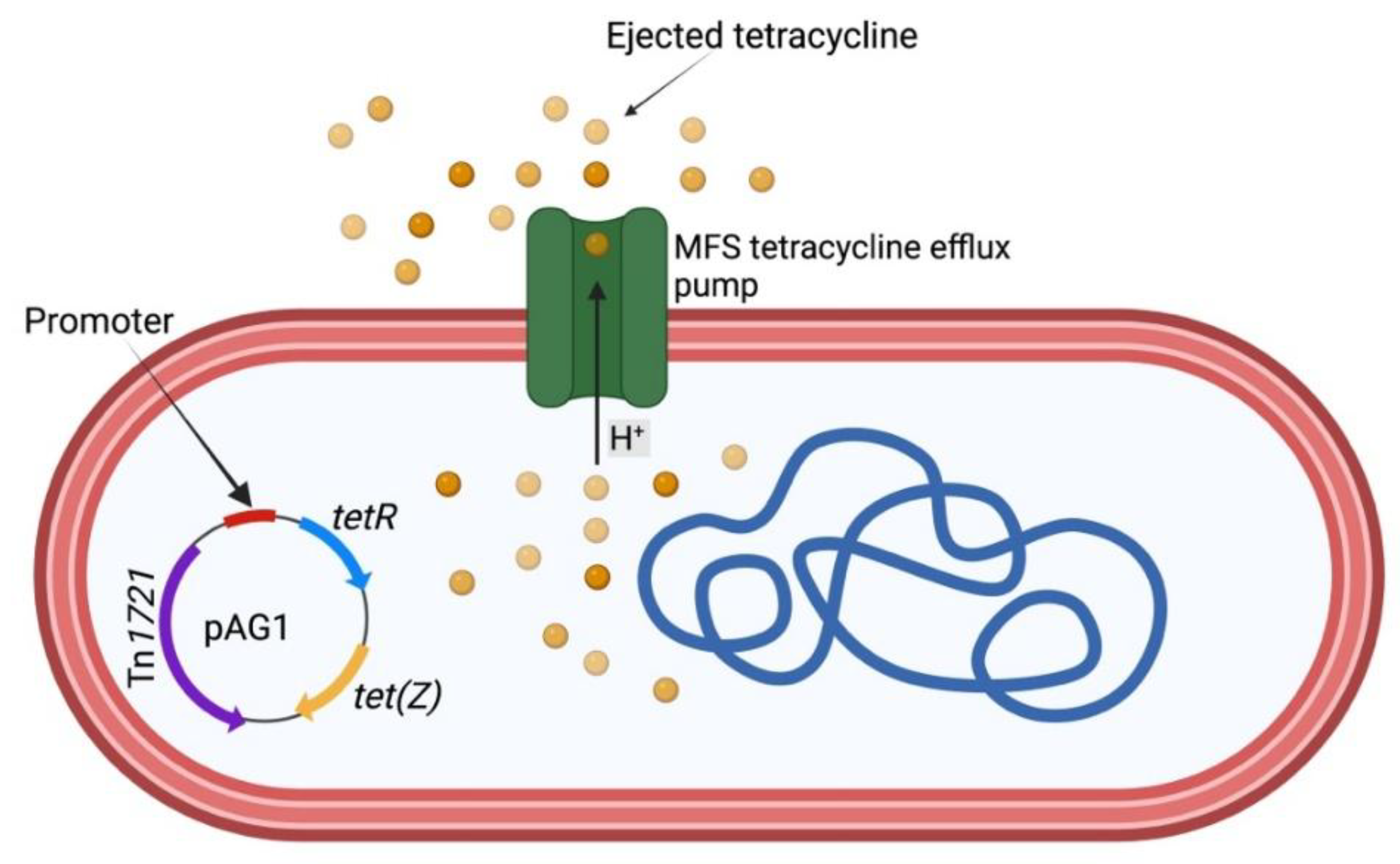 Preprints 172581 g003