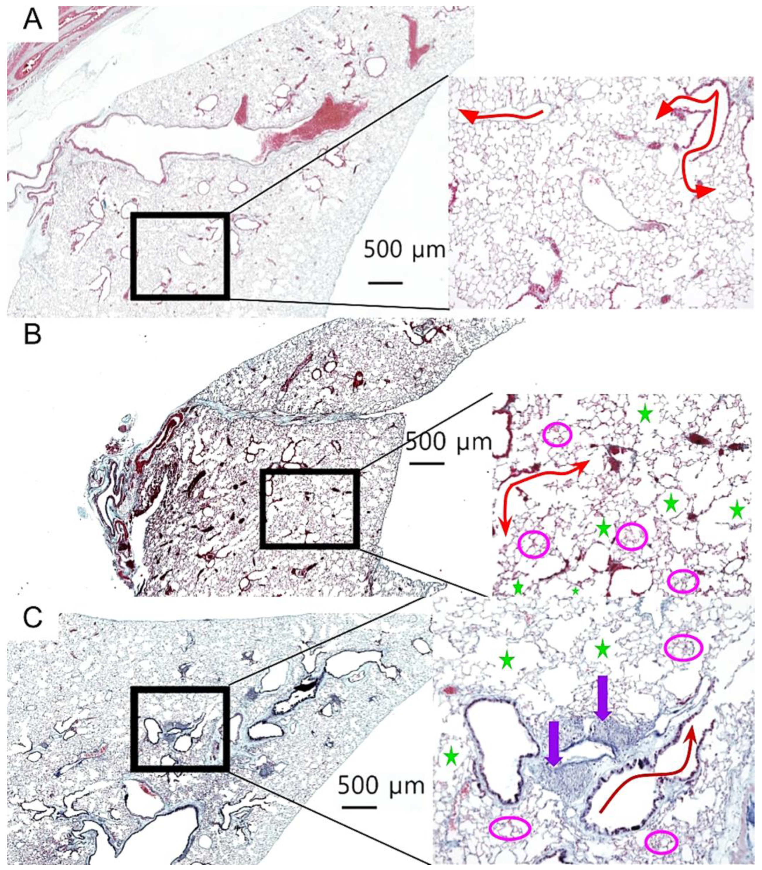 Preprints 191042 g003
