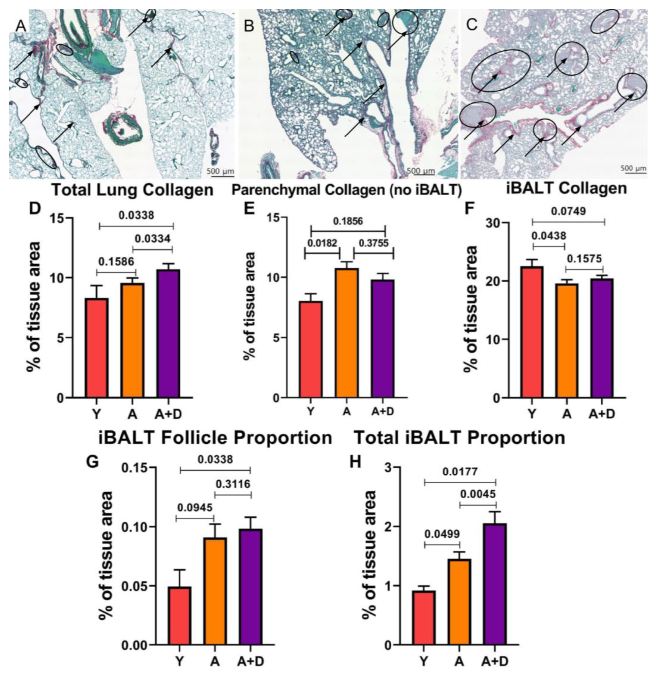 Preprints 191042 g006