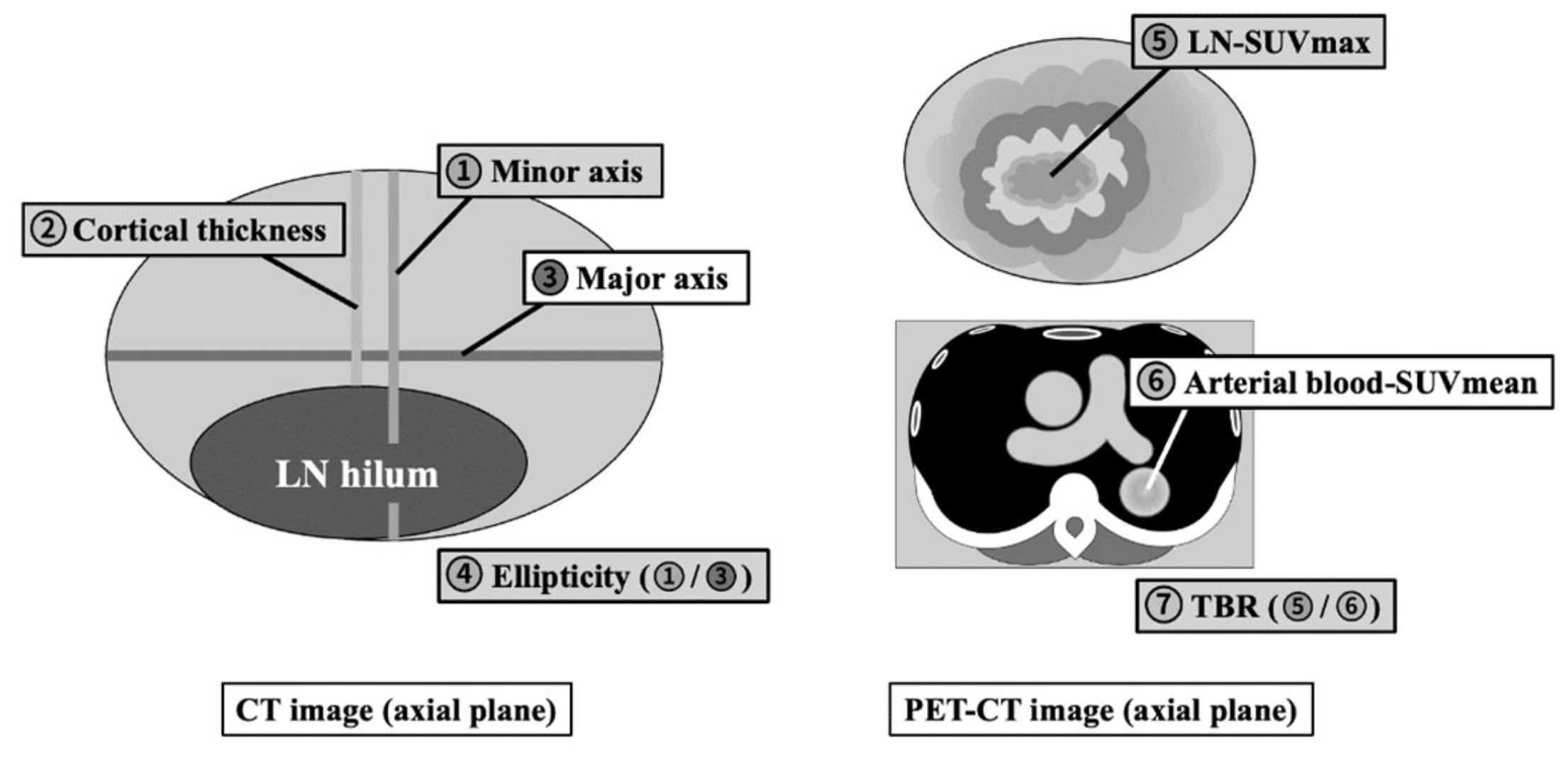 Preprints 104515 g002