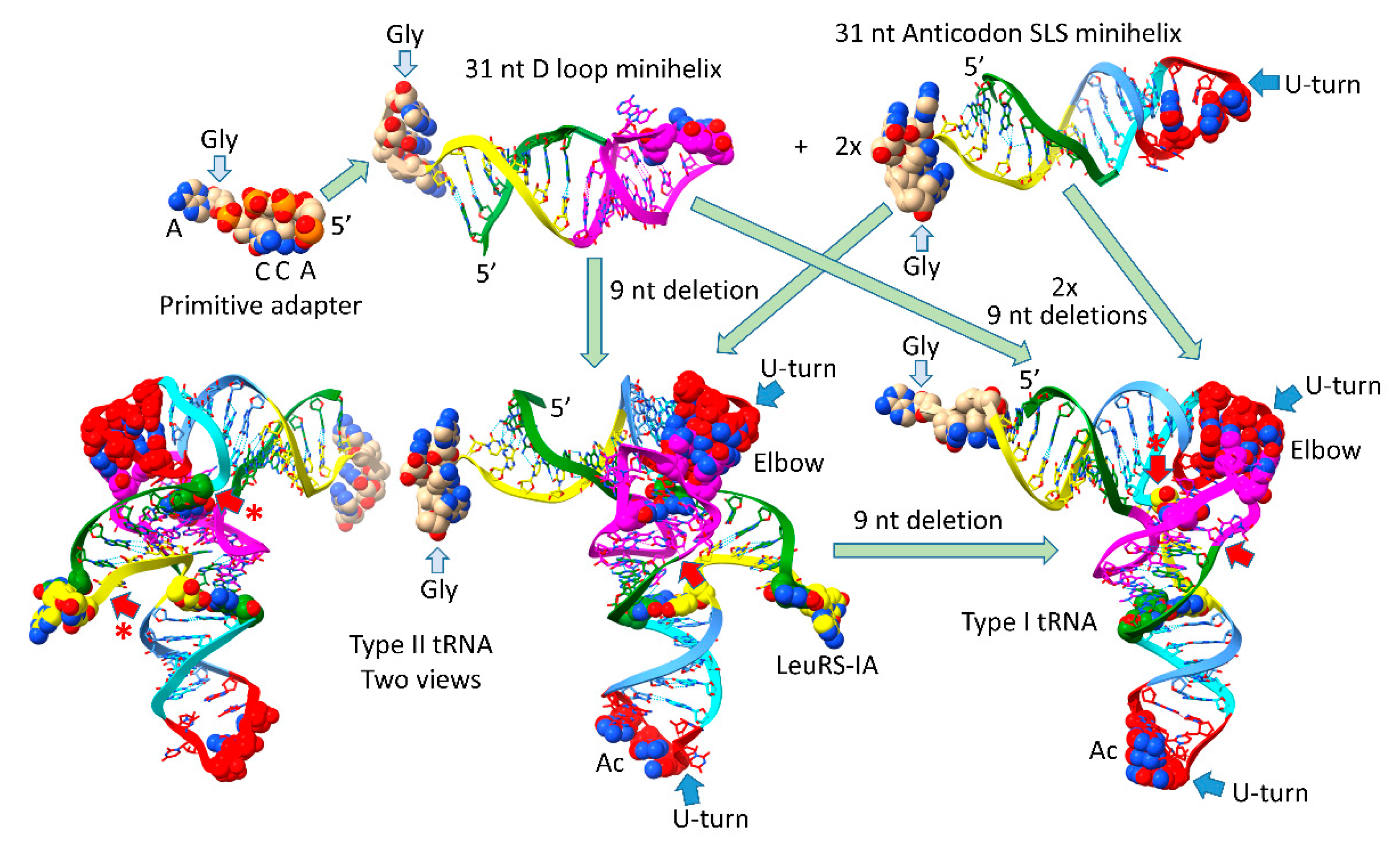 Preprints 146814 g001