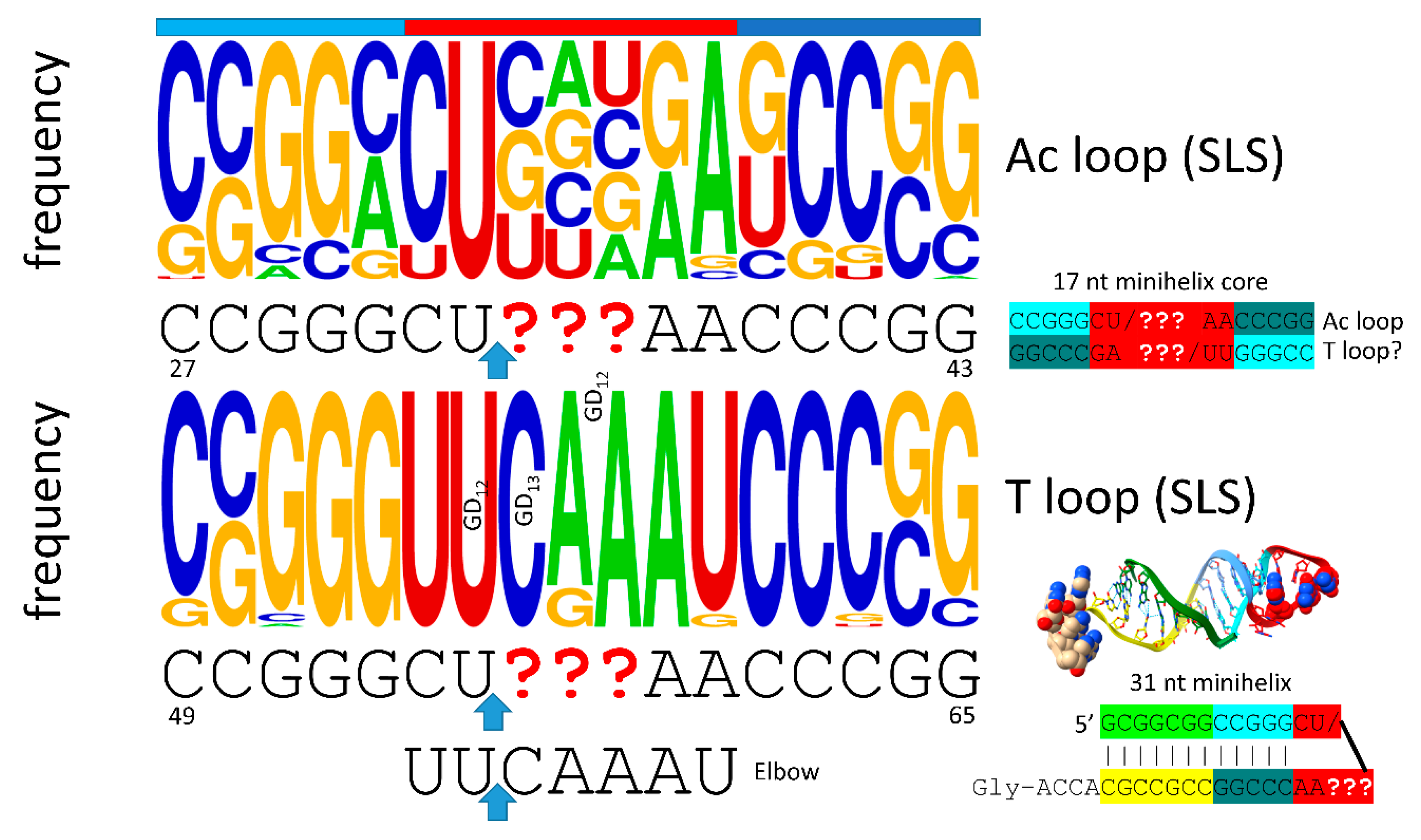 Preprints 146814 g004