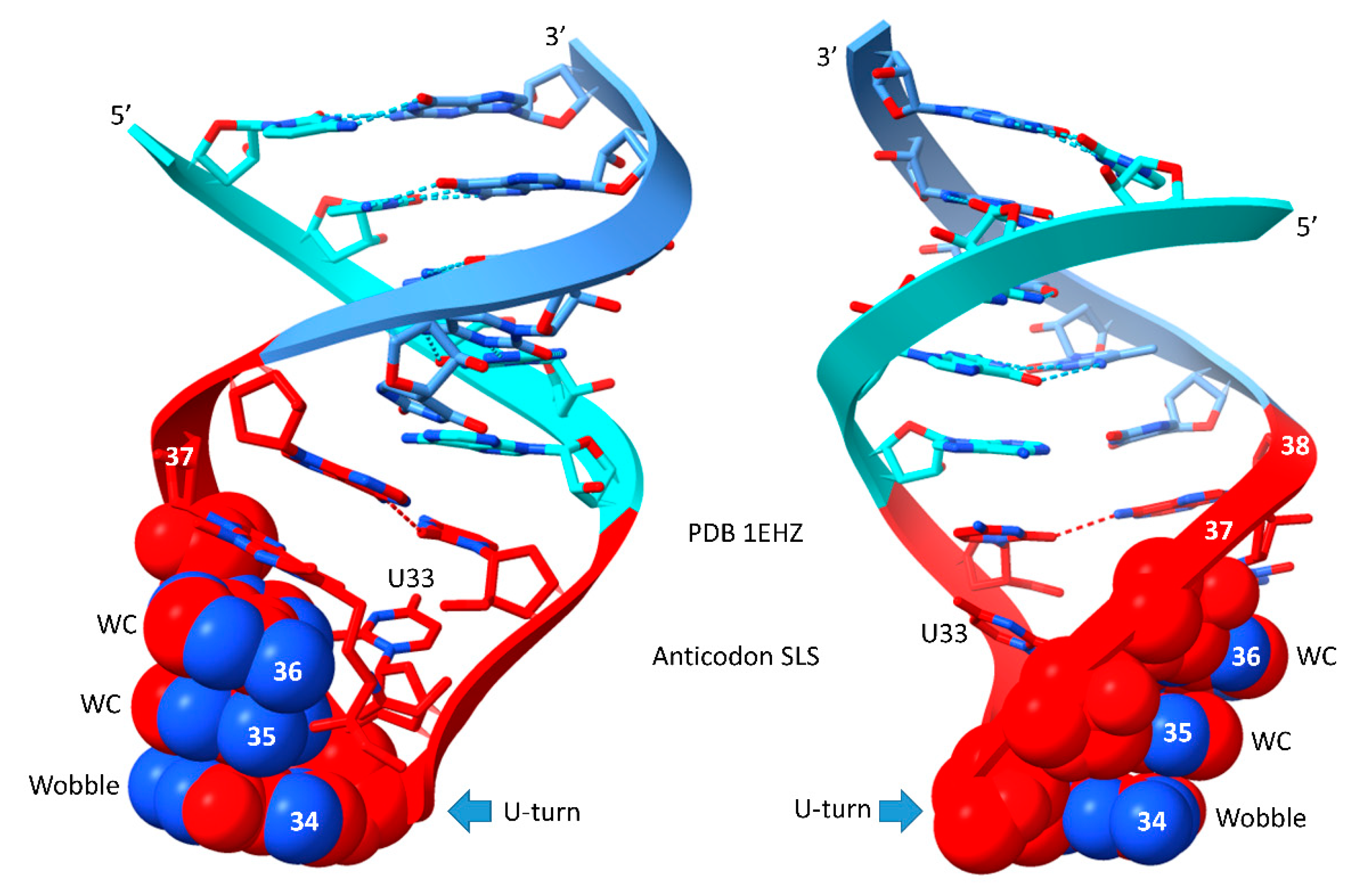 Preprints 146814 g005