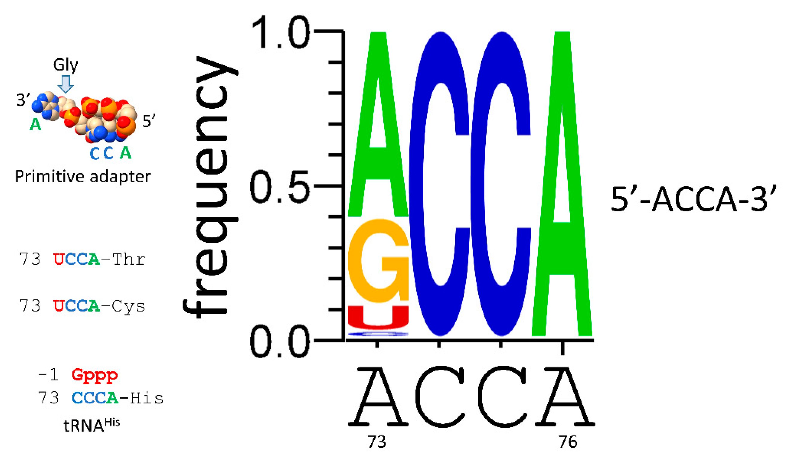Preprints 146814 g009