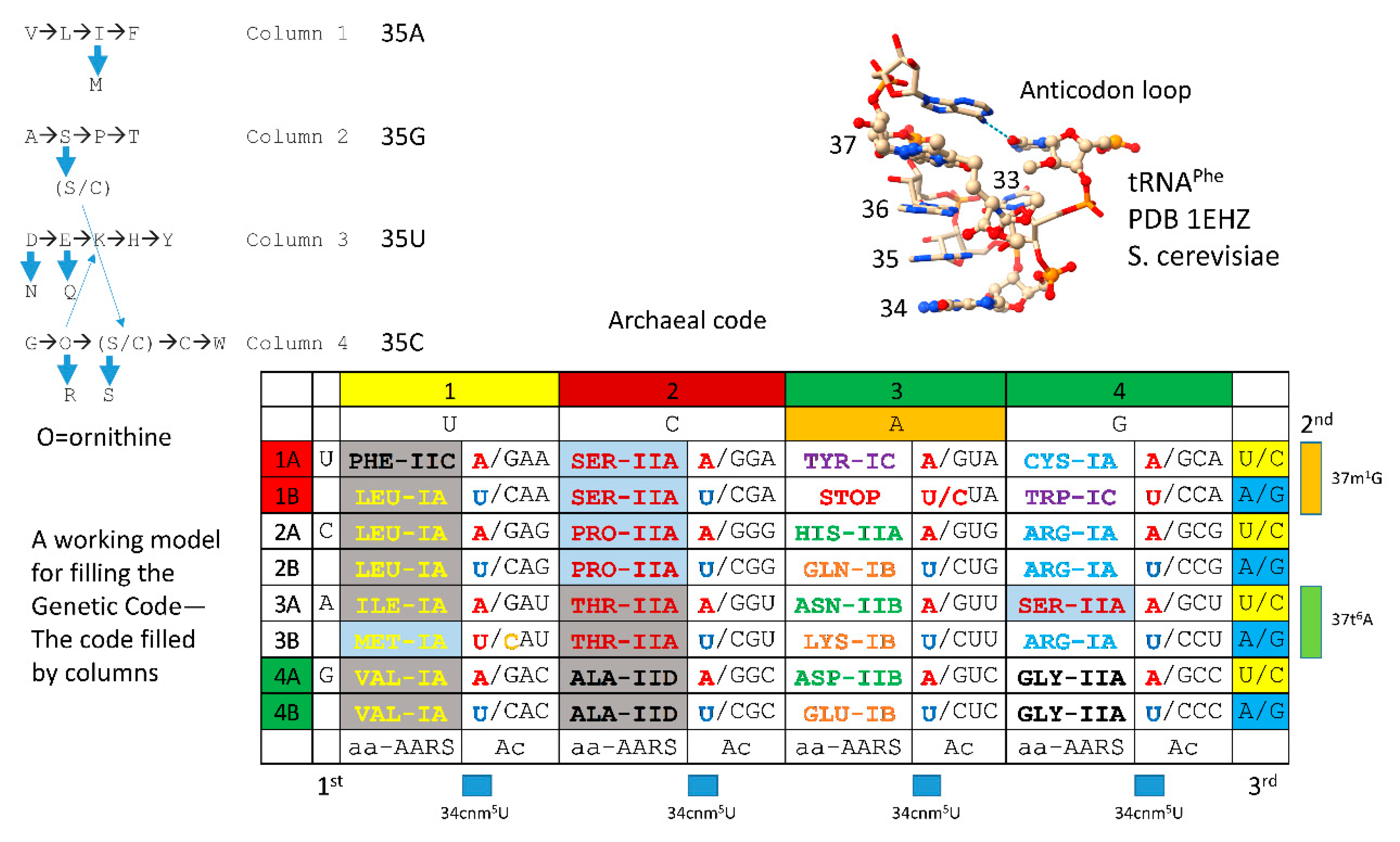 Preprints 146814 g016