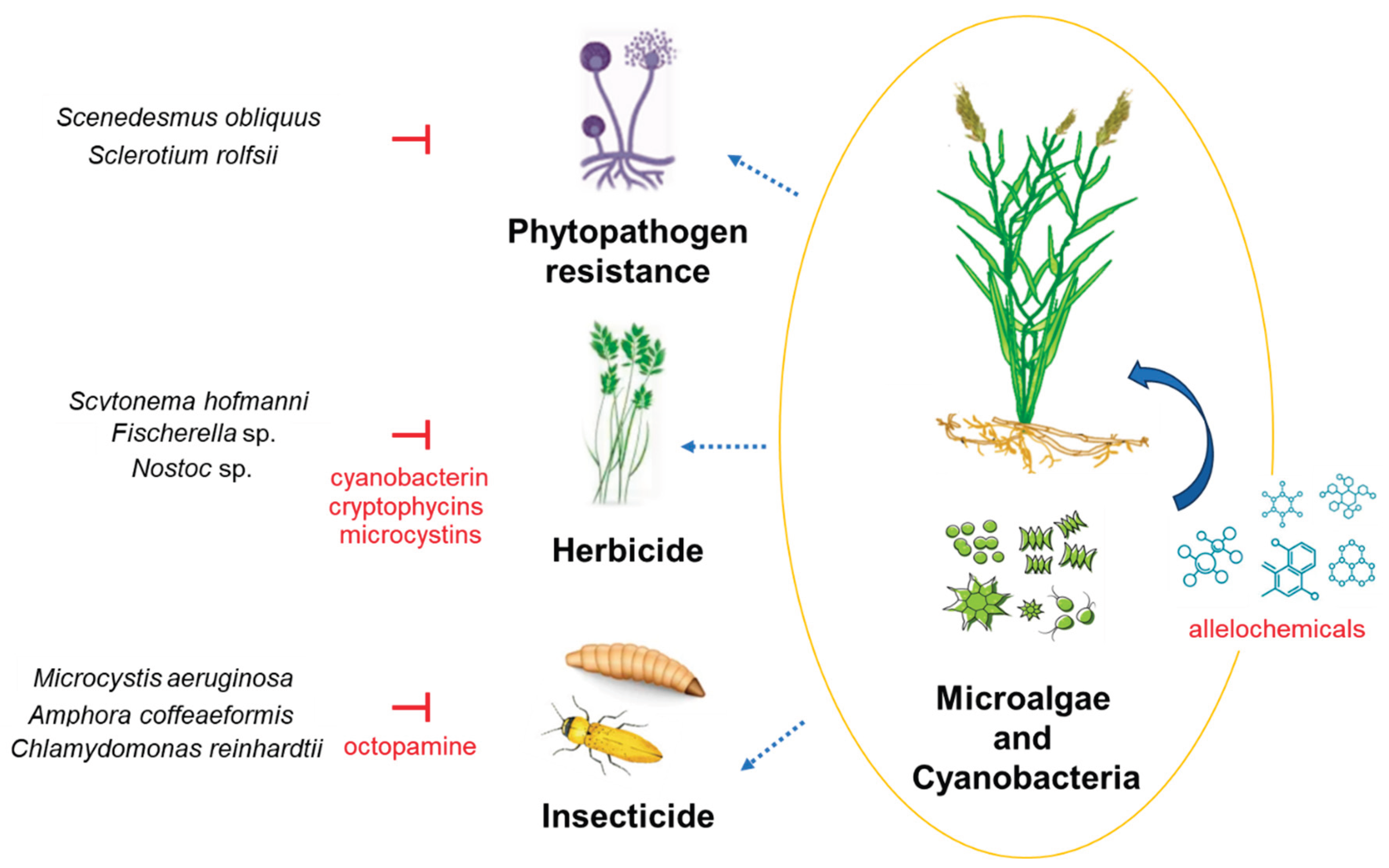 Preprints 169718 g002